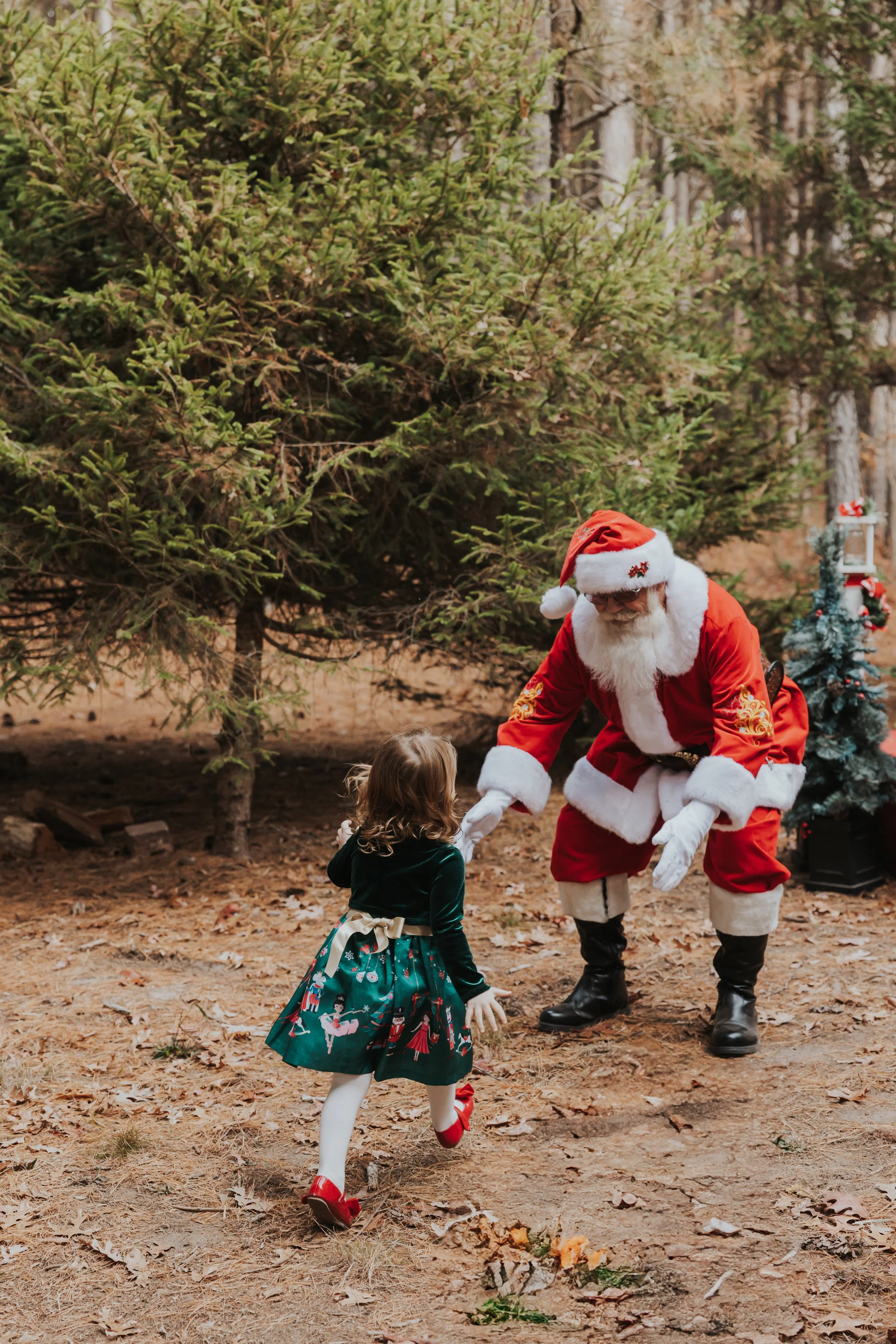 South Jersey Christmas Mini Session