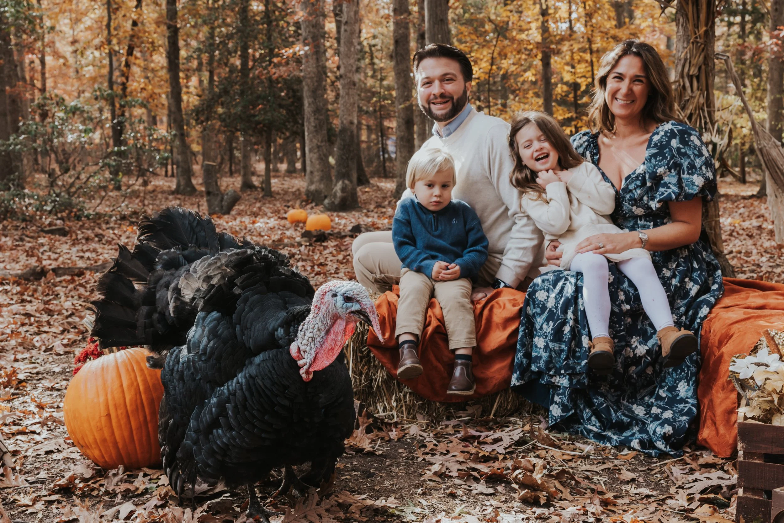 South Jersey Fall Farm Mini Sessions
