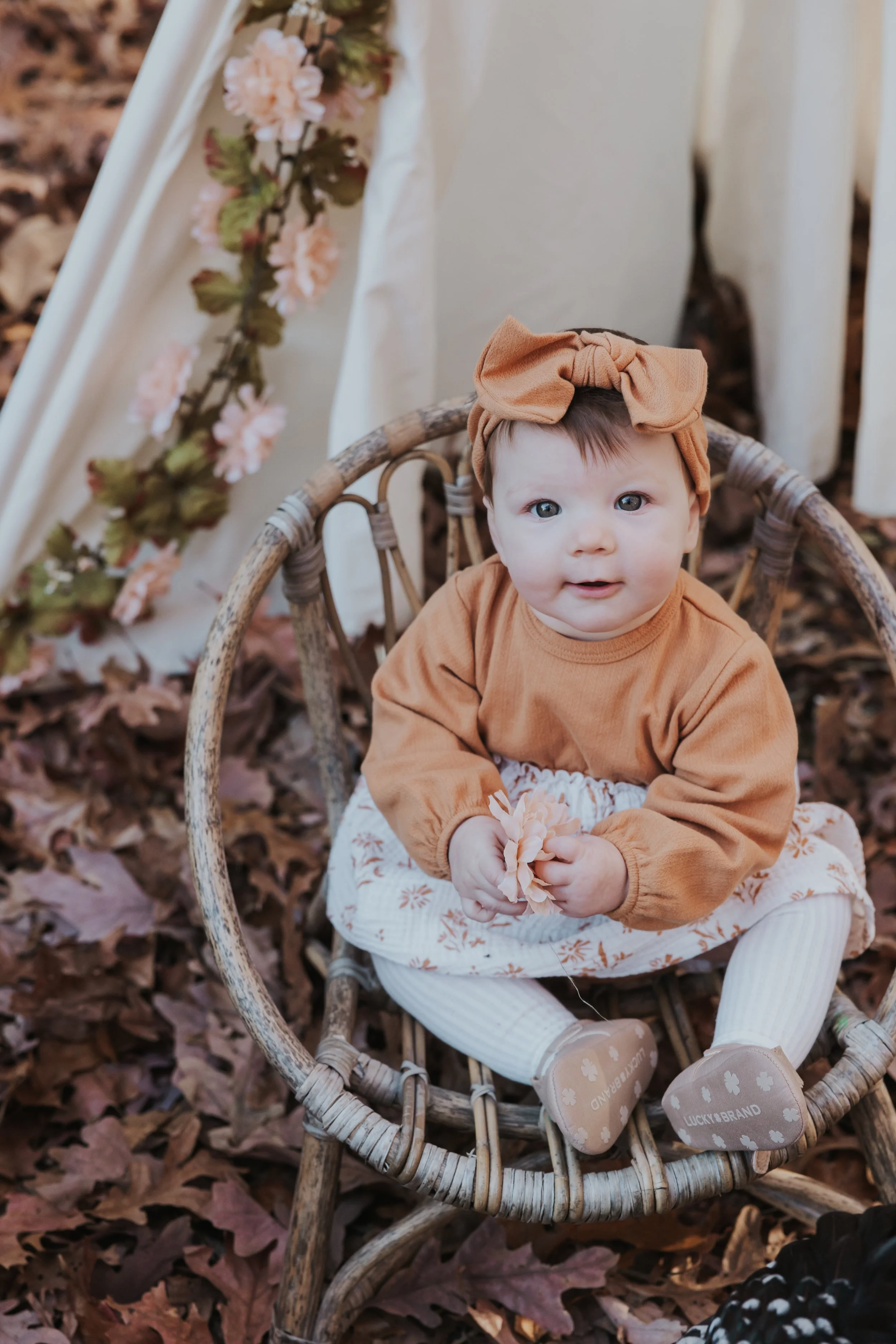 South Jersey Fall Farm Mini Sessions