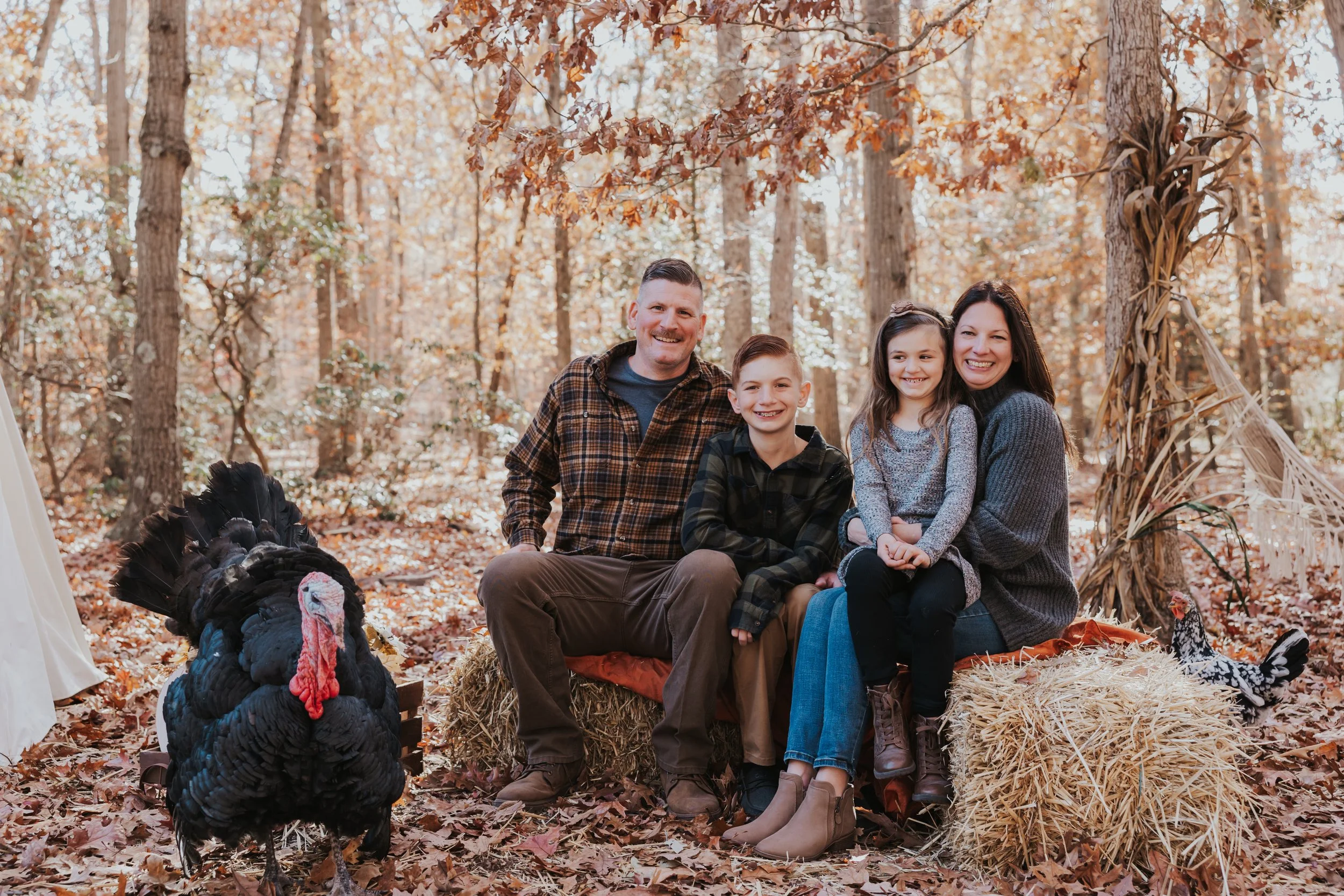 South Jersey Fall Farm Mini Sessions