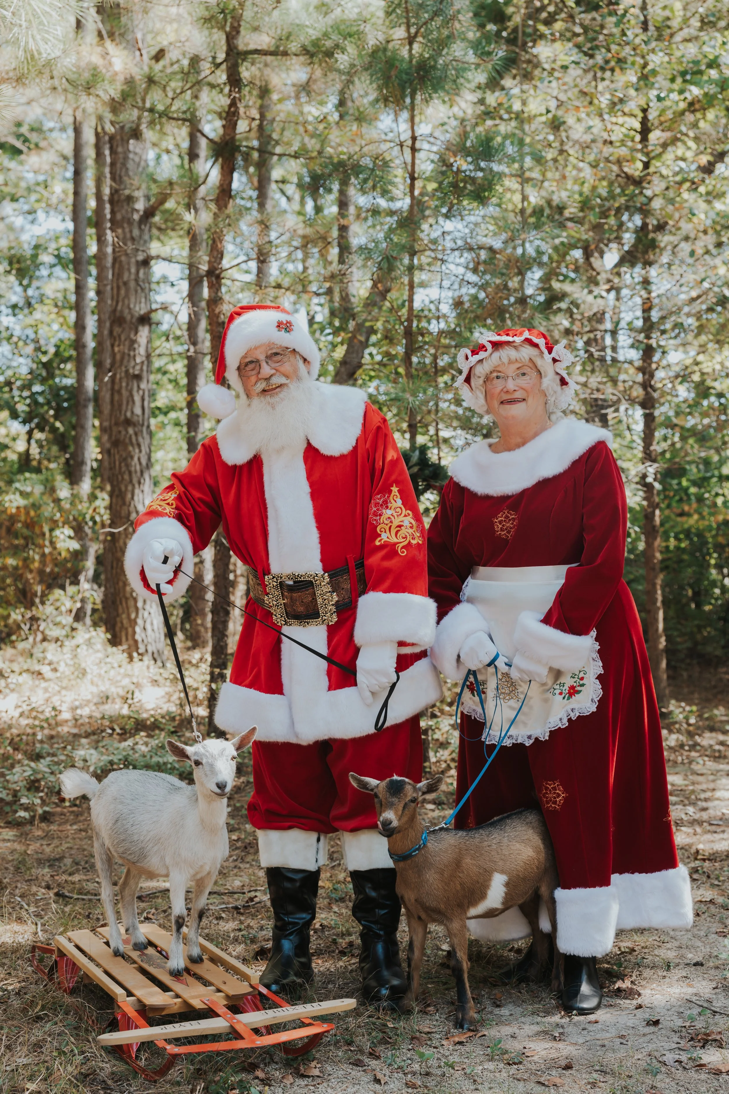 South Jersey Christmas Mini Session