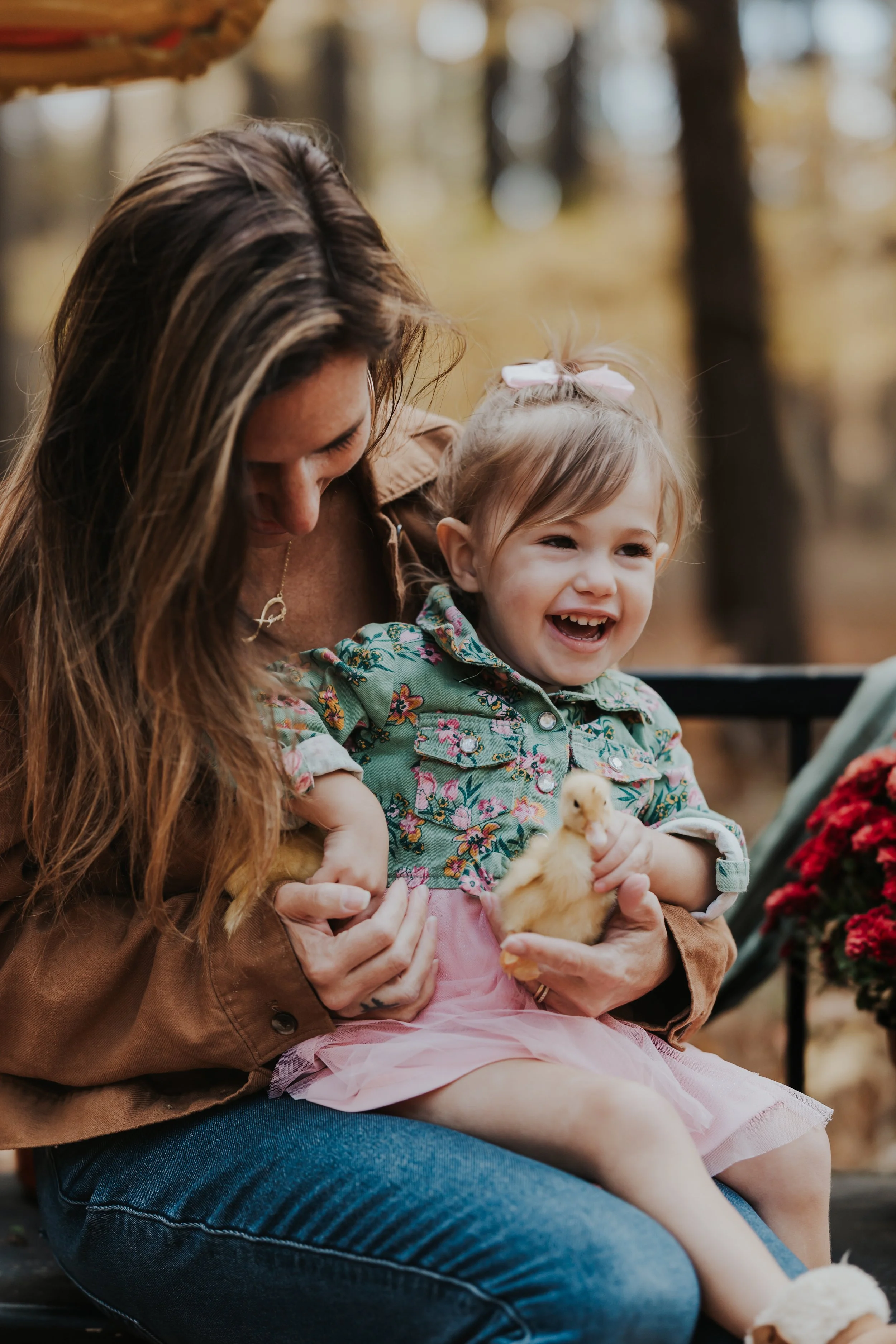 South Jersey Fall Farm Mini Sessions