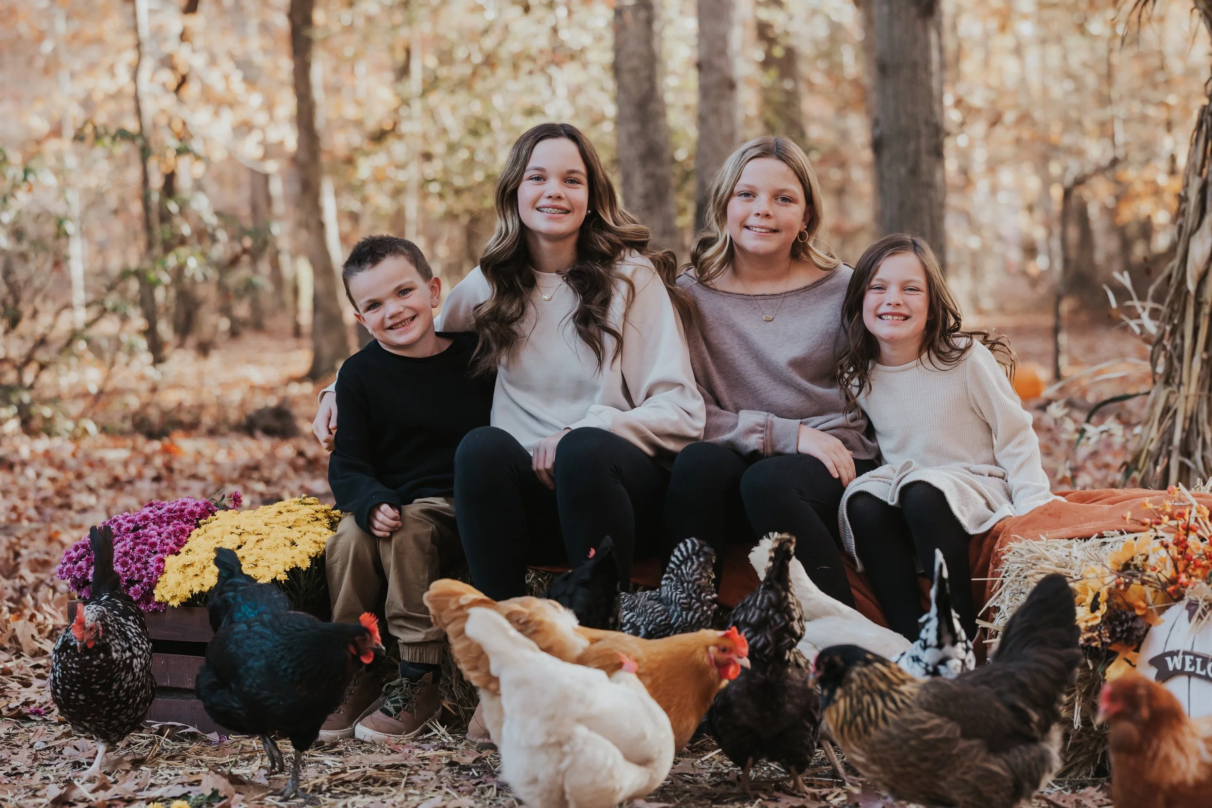 South Jersey Fall Farm Mini Sessions
