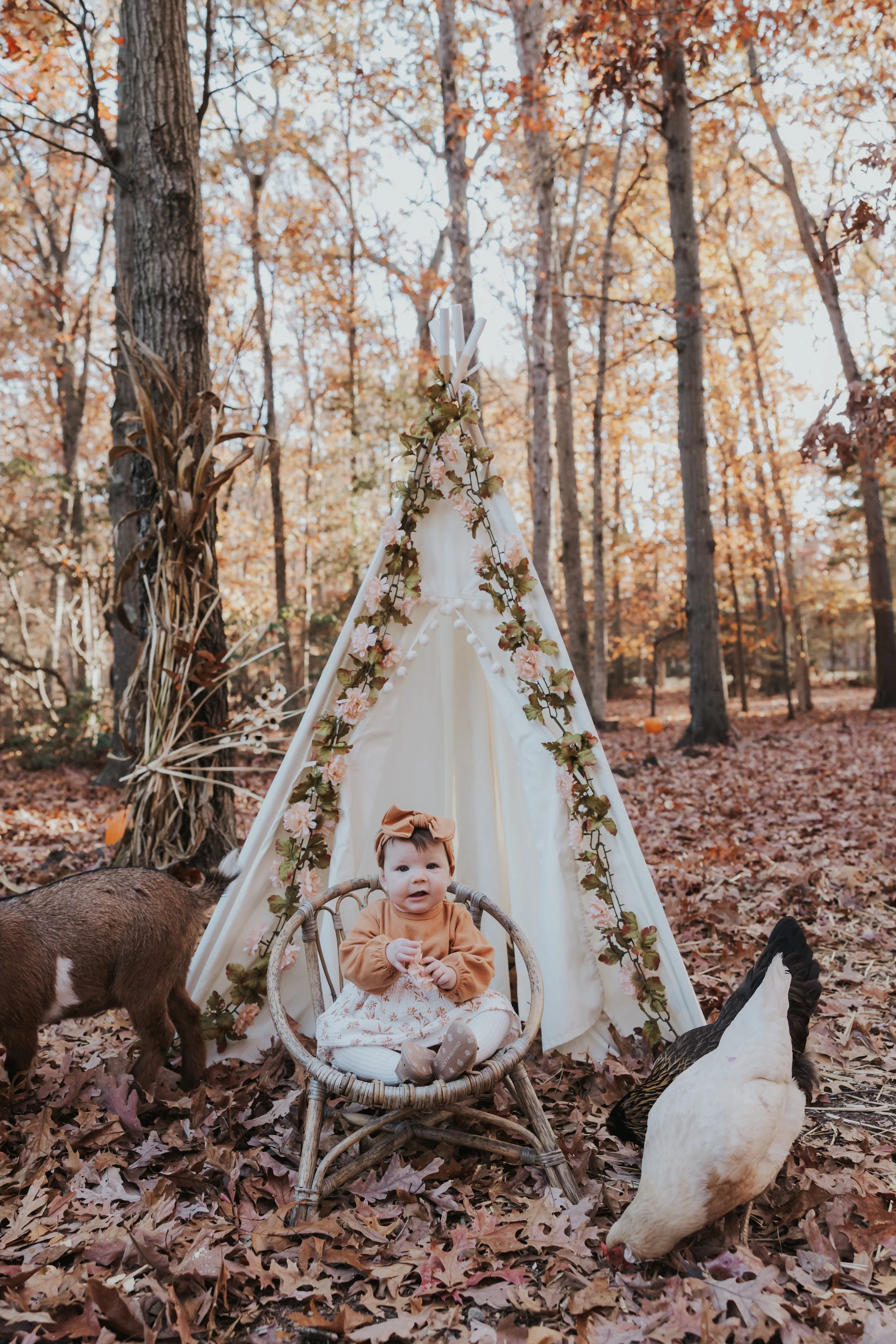 South Jersey Fall Farm Mini Sessions