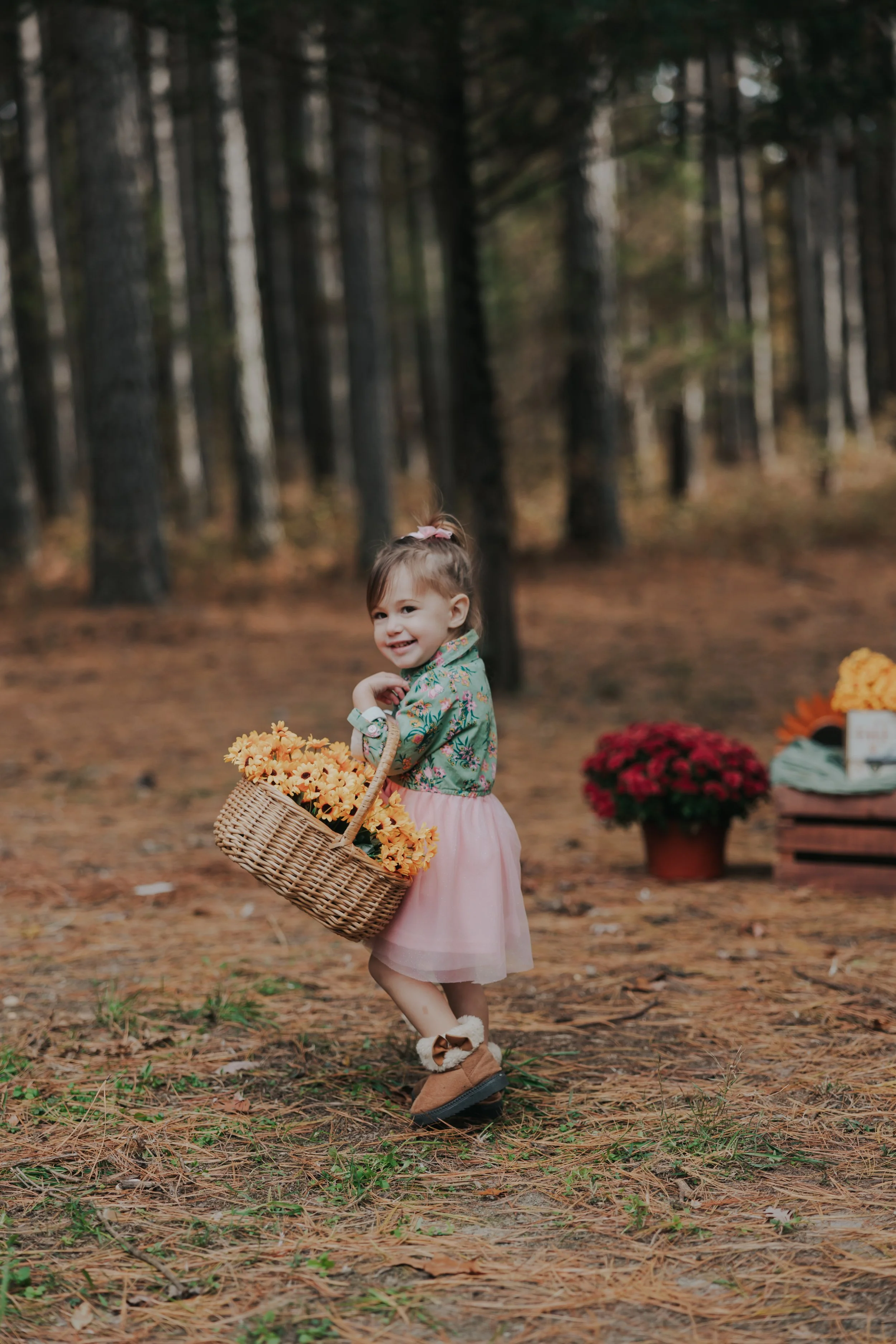 South Jersey Fall Farm Mini Sessions