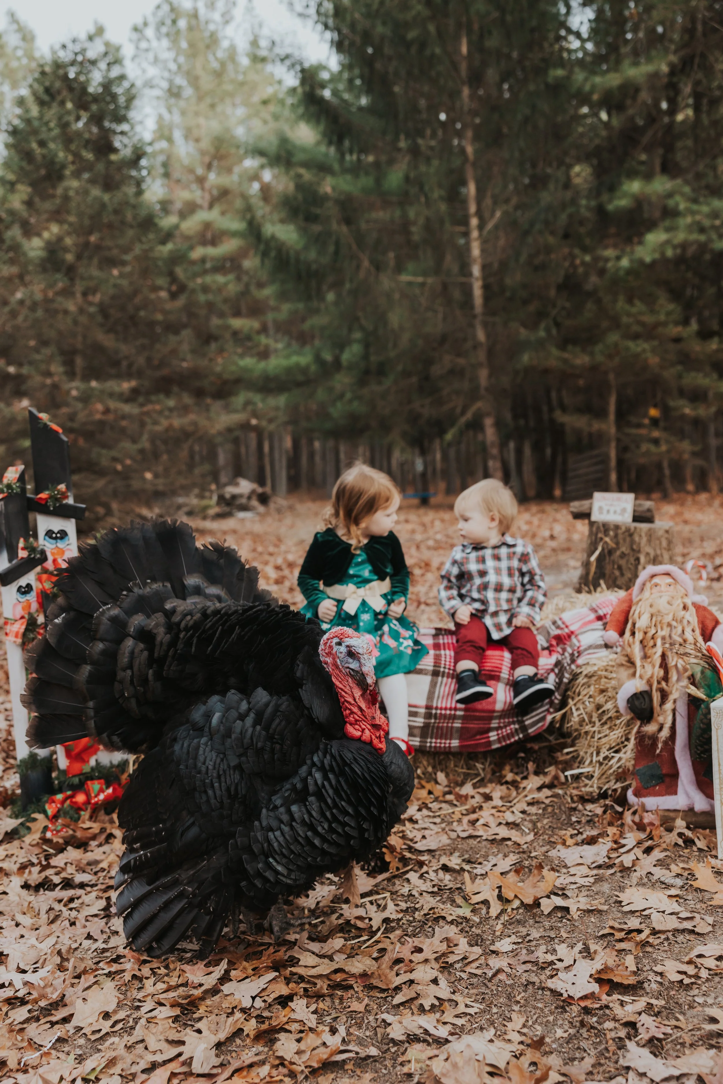 South Jersey Christmas Mini Session