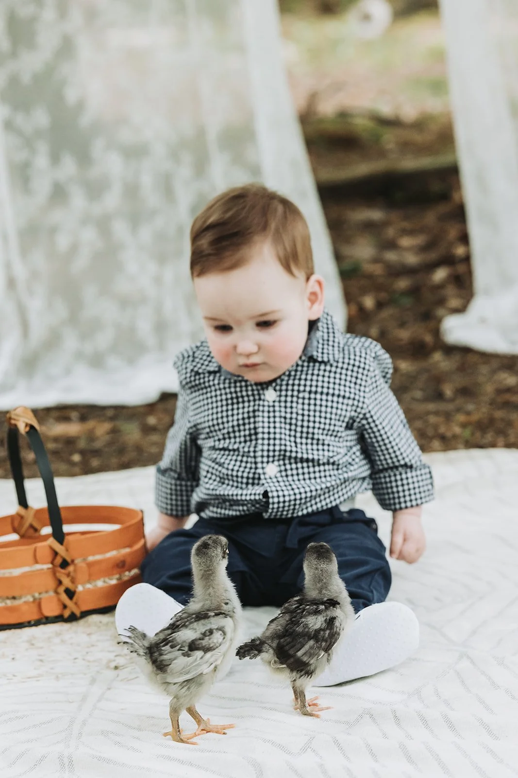 South Jersey Spring Mini Session