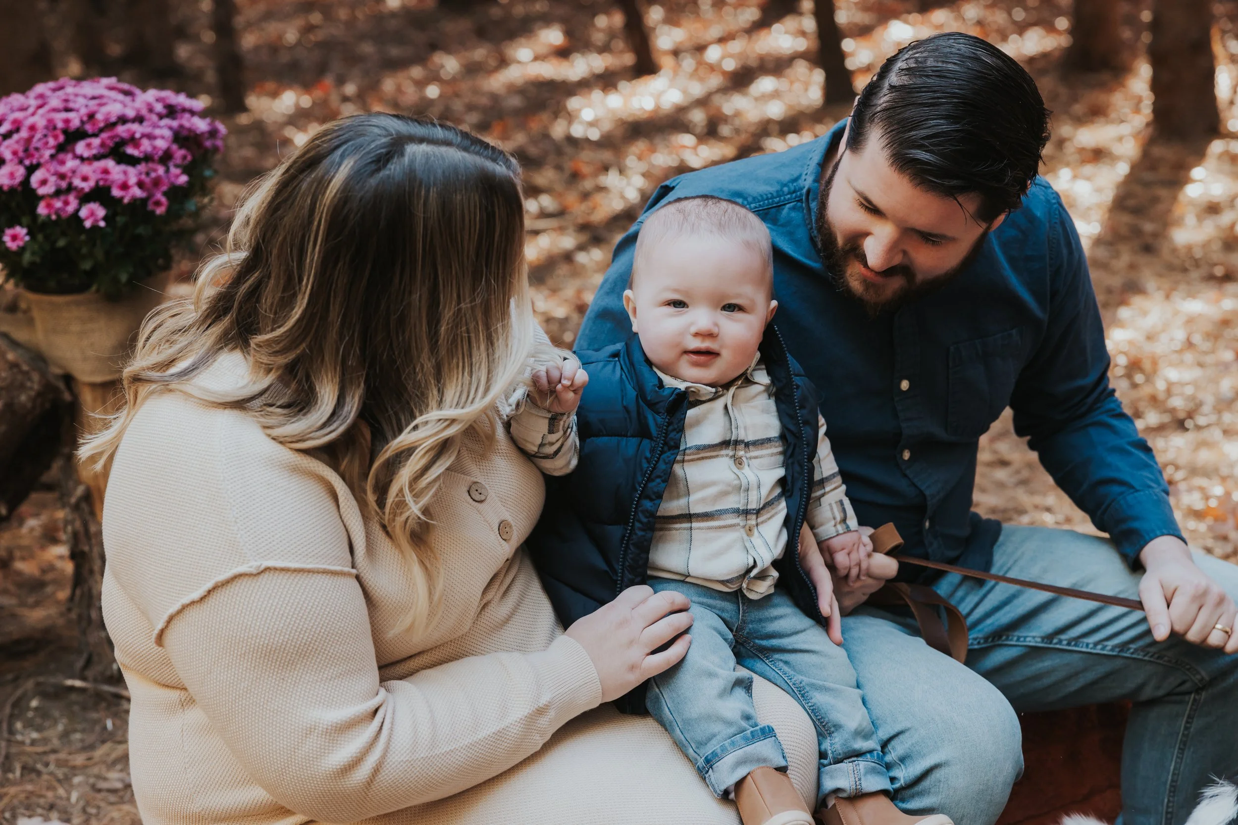 South Jersey Fall Farm Mini Sessions