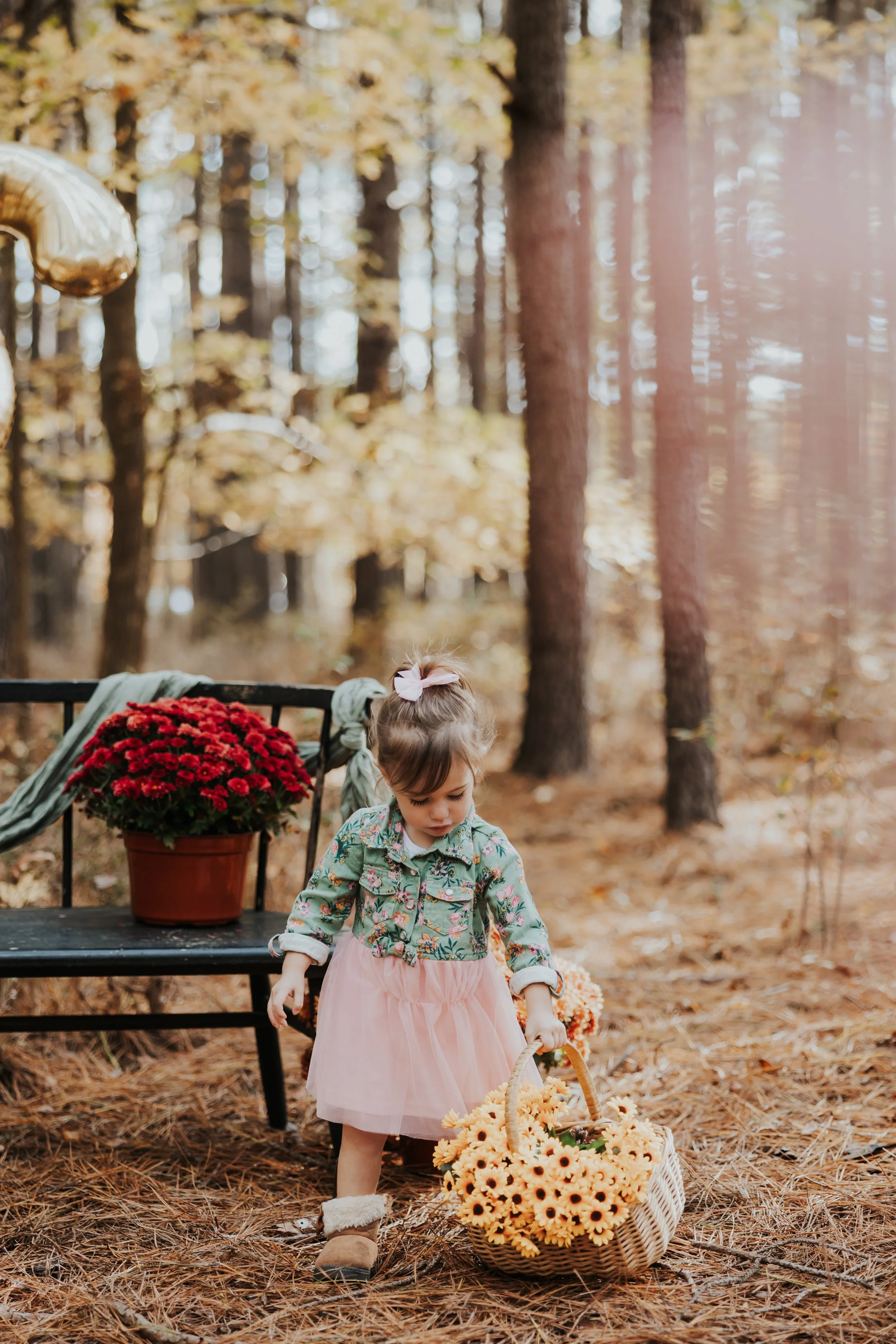 South Jersey Fall Farm Mini Sessions