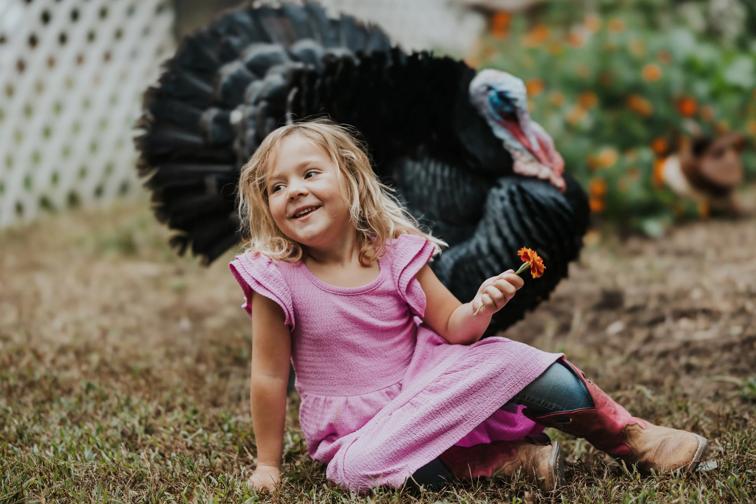 South Jersey Fall Farm Mini Sessions