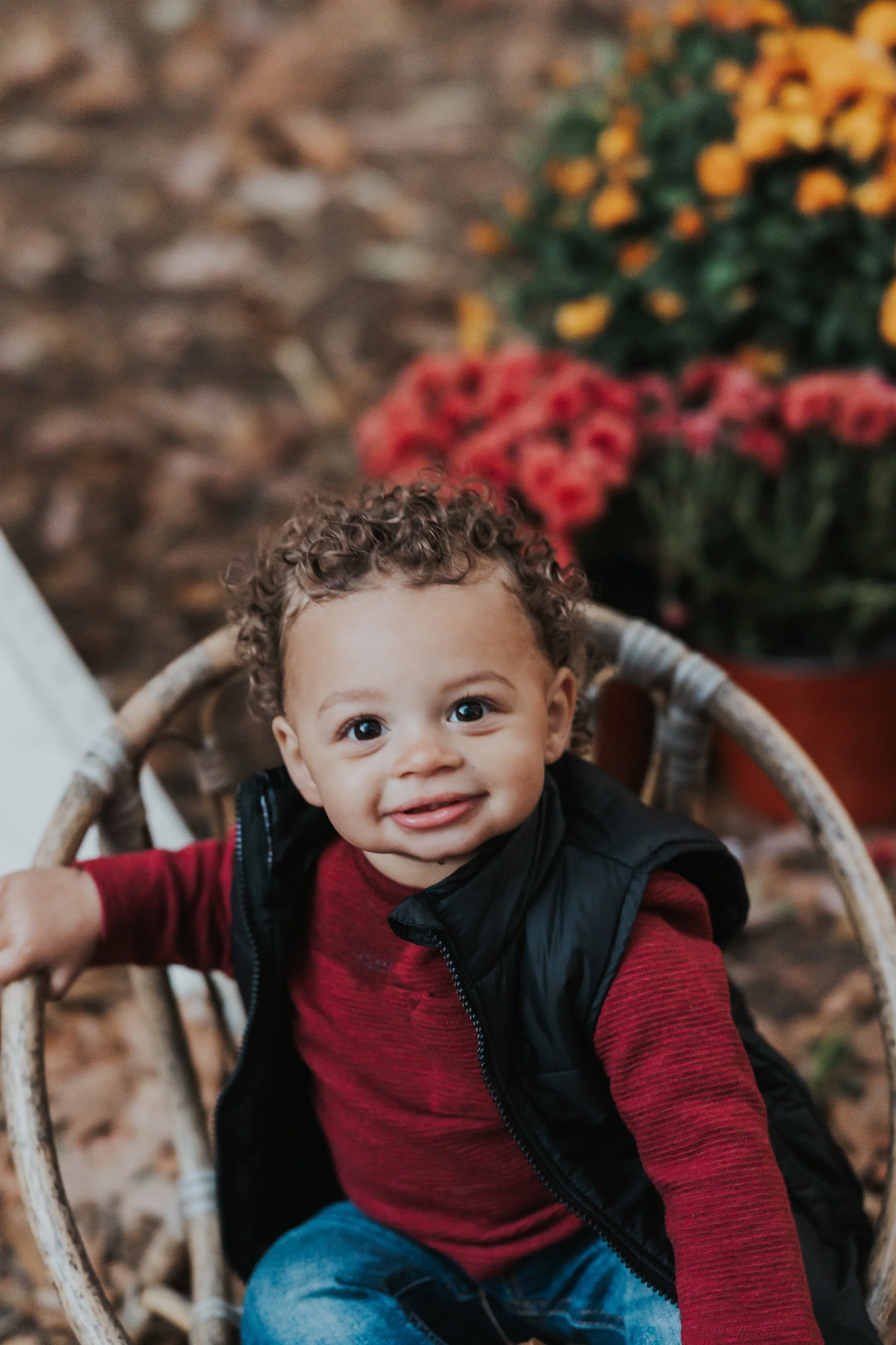 South Jersey Fall Farm Mini Sessions