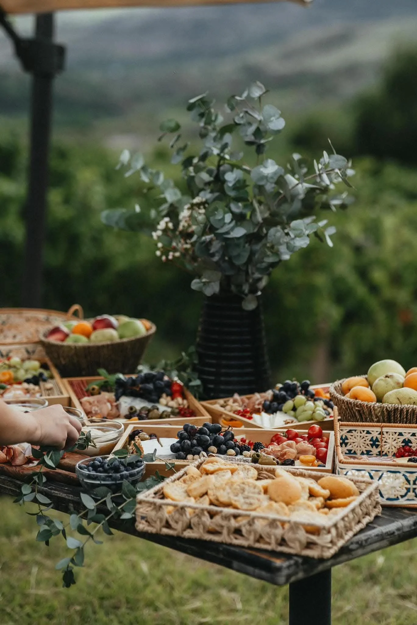 A table outdoors filled with various bowls of fresh fruit and baked goods, with a small leafy plant in a black vase in the background.