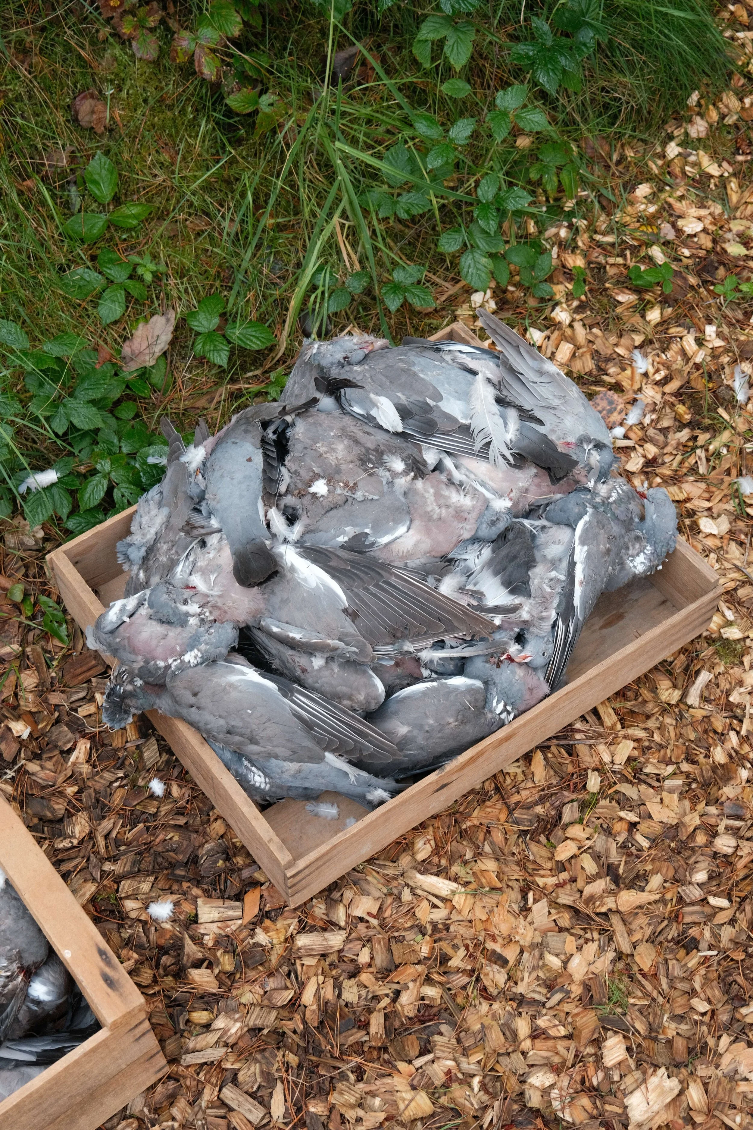 DSCF6973.JPG
