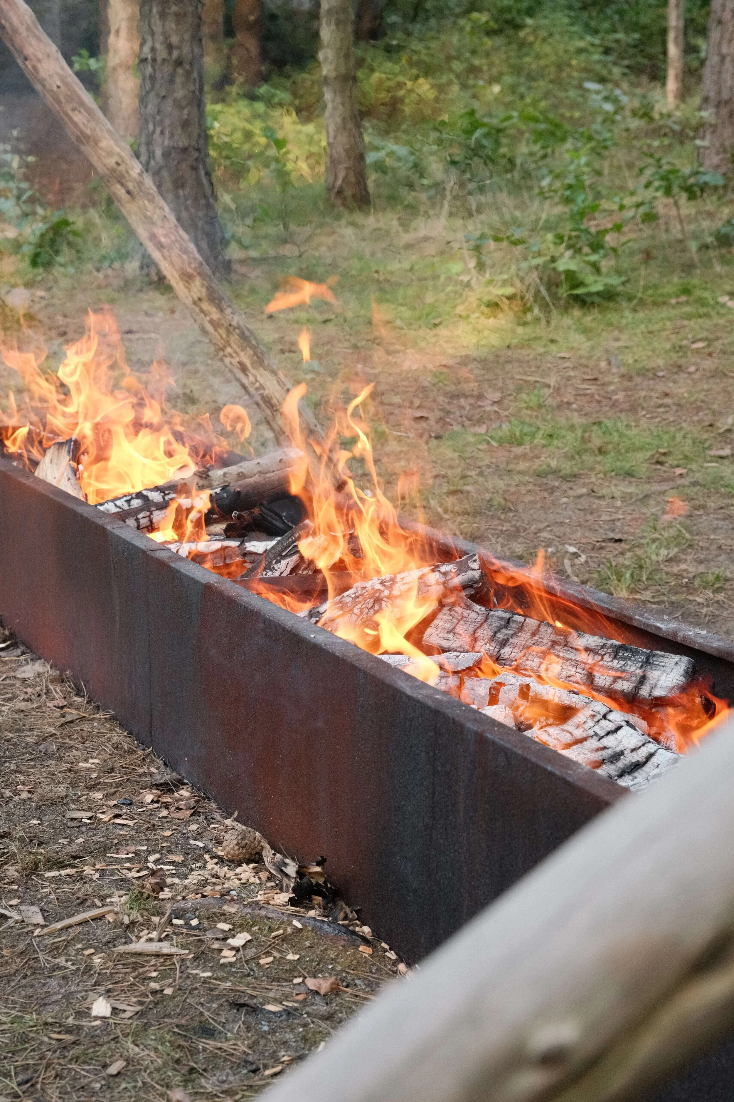 DSCF7855.JPG