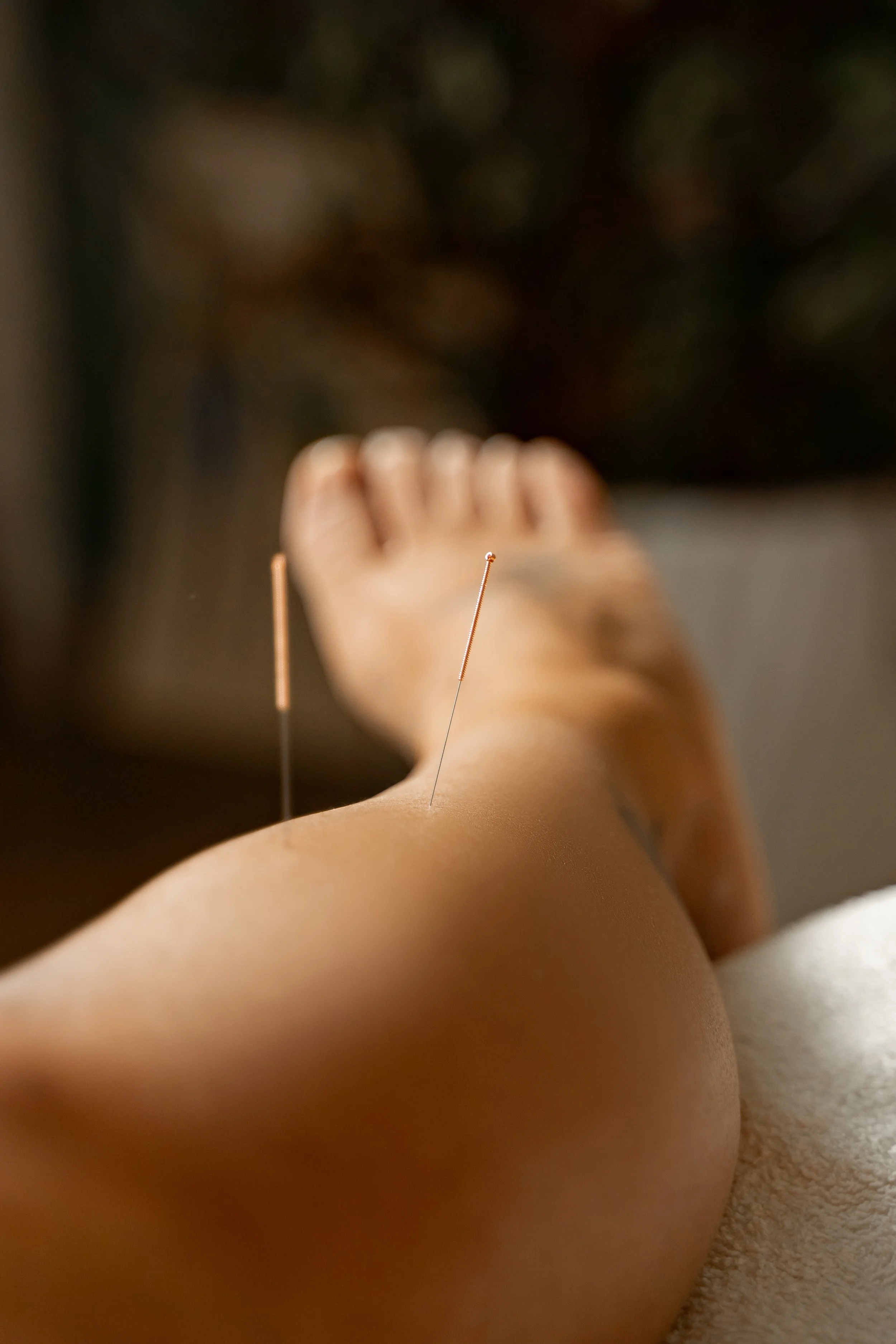 TDM Lifestyle Clinic 2026-34.jpg