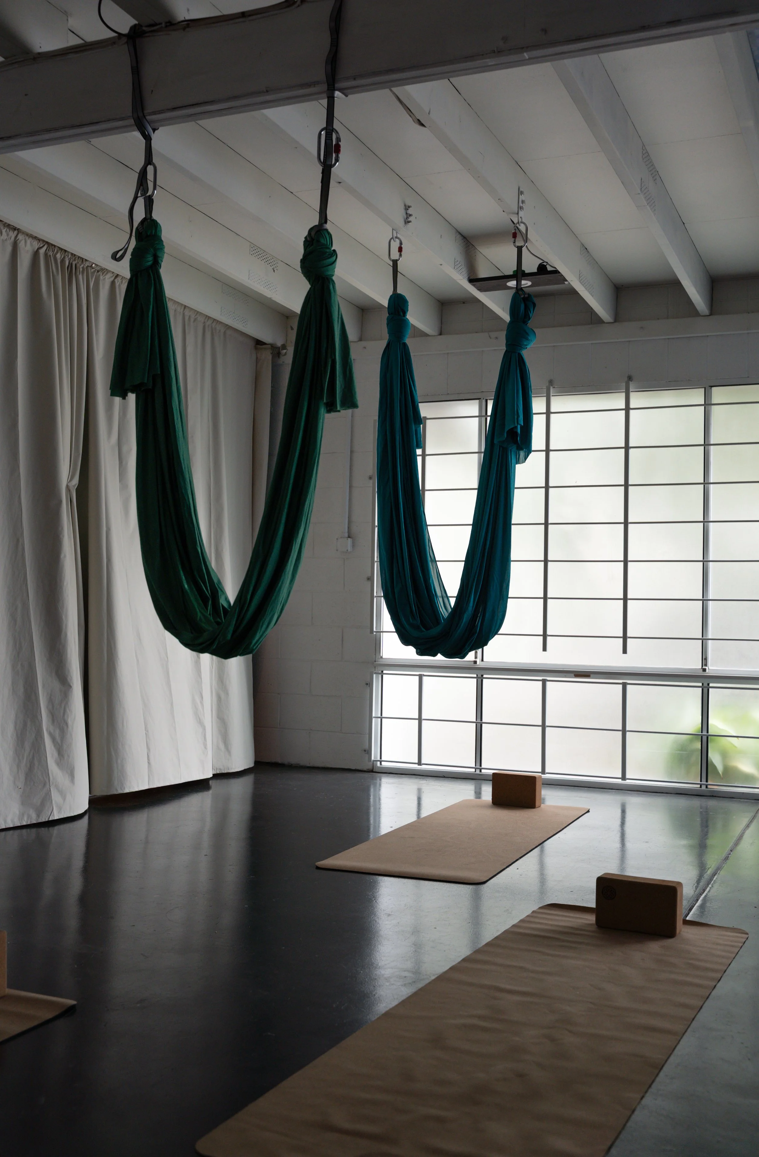 TDM Lifestyle Clinic 2026-55.jpg