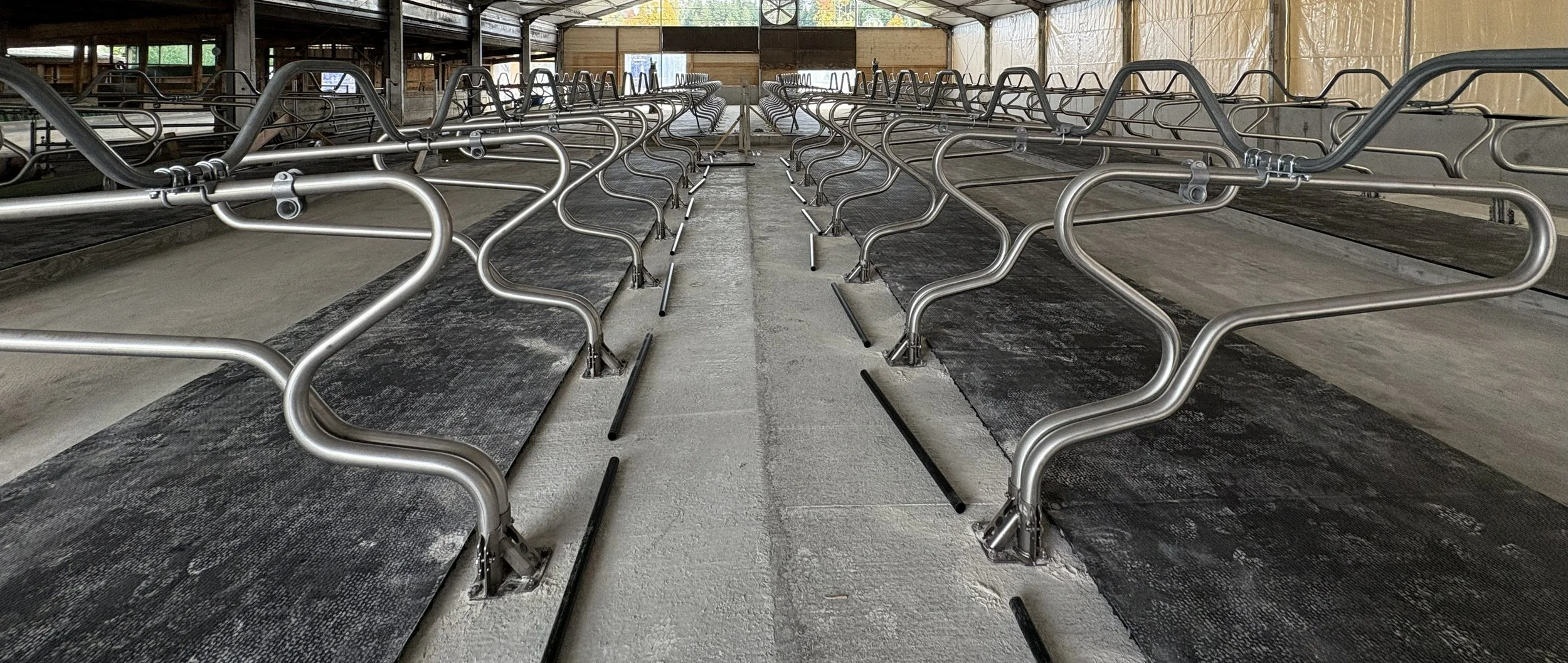 Stallbau in neuer Dimension