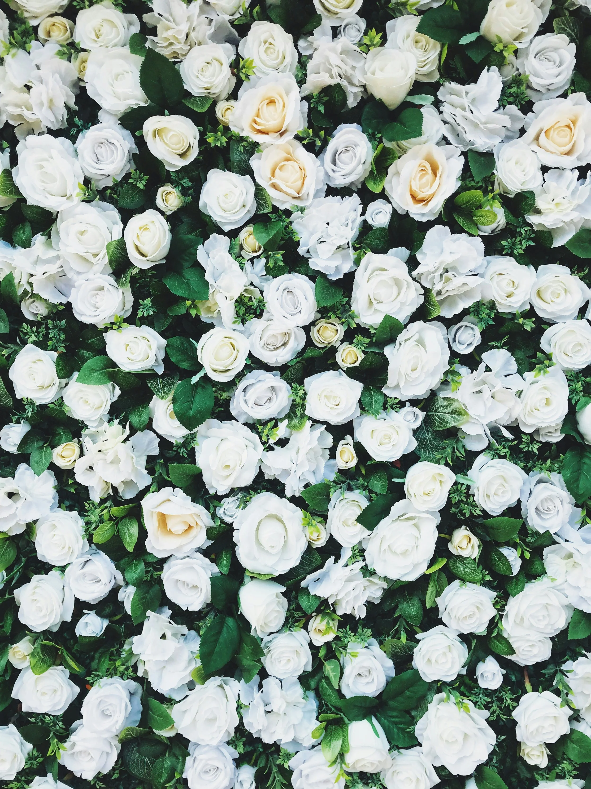 A dense arrangement of white and off-white roses, white hydrangeas, and green leaves.