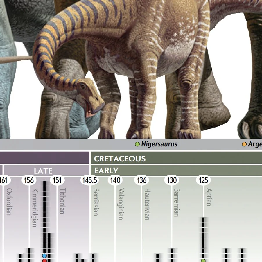 Sauropods