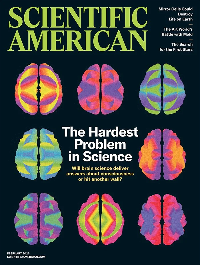 Scientific American magazine cover featuring a series of bold and colorful brain sections.