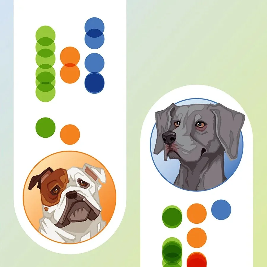 Dog Traits