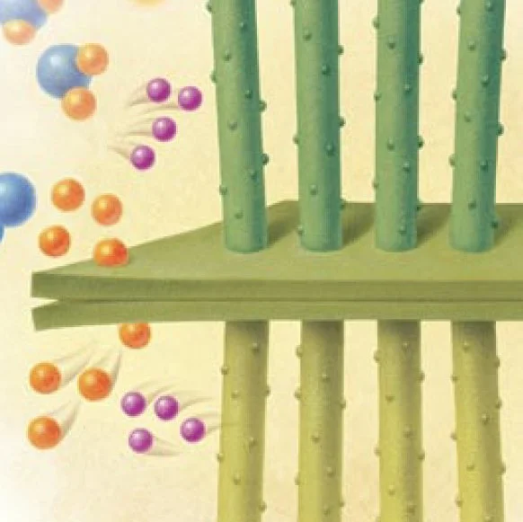 Solar Nanowires