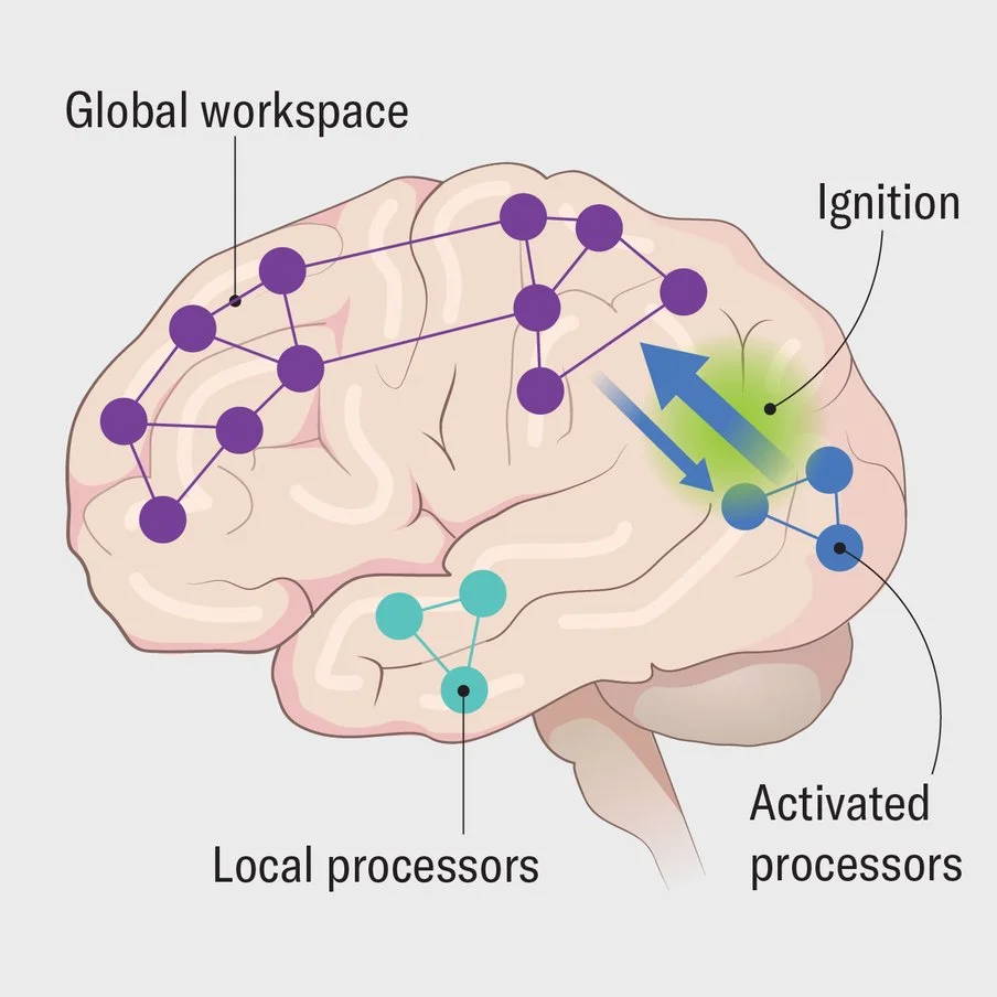 Consciousness