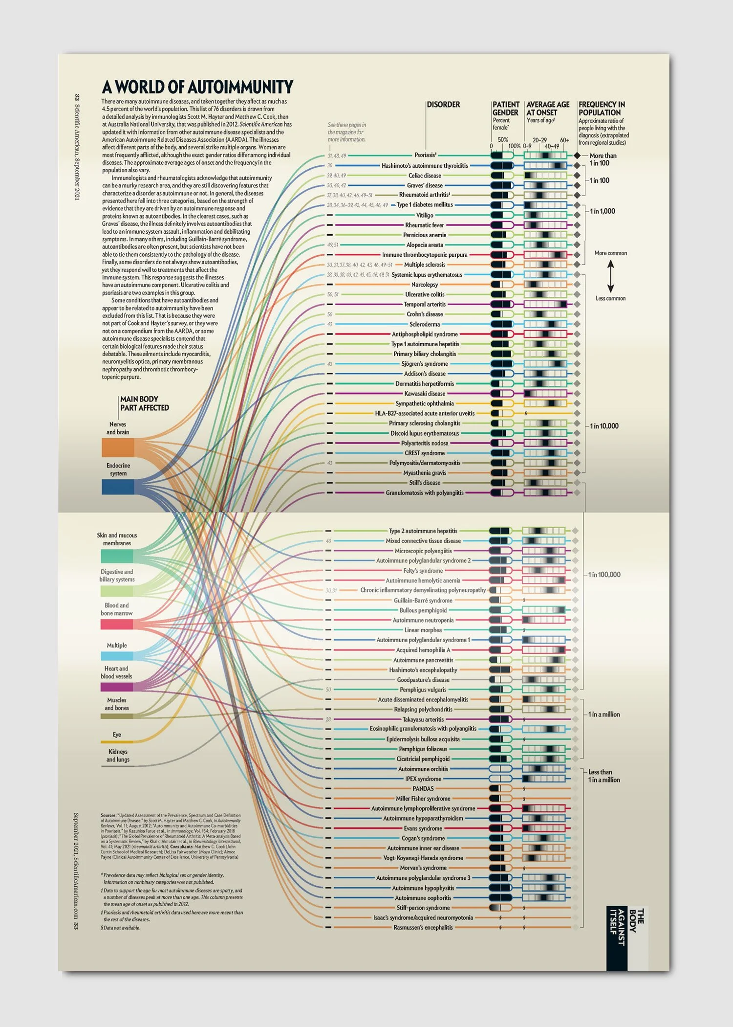 Thumbnail view of final magazine spread. Graphic presents information about 76 autoimmune diseases including main body part affected and frequency in population.
