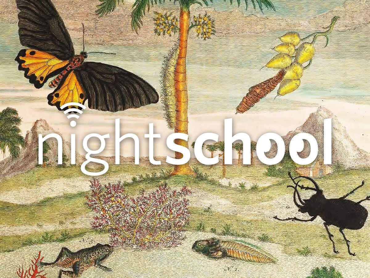 Promotional poster with the word "nightschool" supimerimposed over a classic scientific illustration.