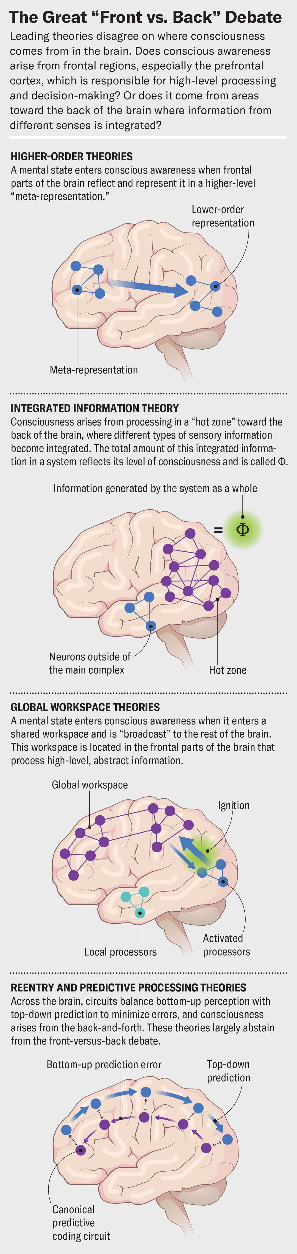 Schematic represents key brain areas related to these four consciousness constructs: higher-order theories, global workspace theories, integrated information theory, and reentry and predictive processing theories.