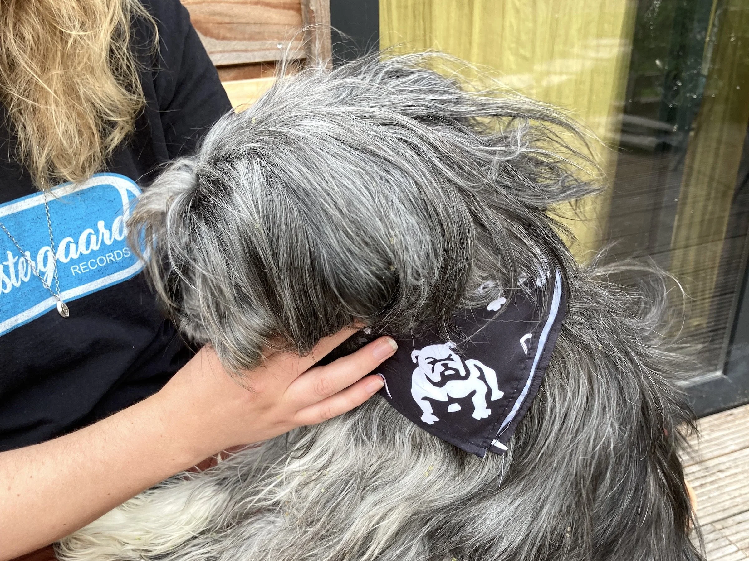 bandana1.jpg