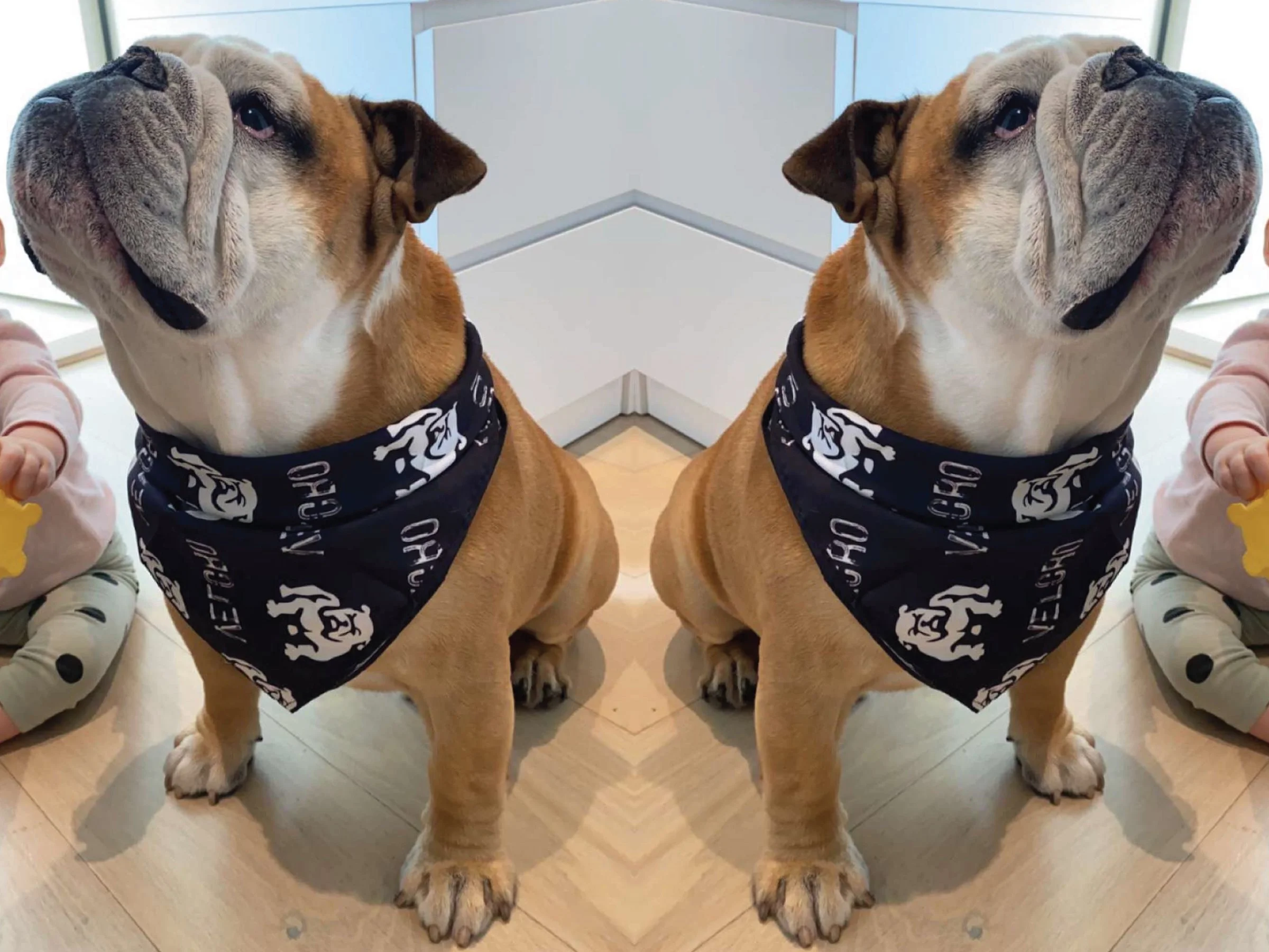 bandana2.jpg