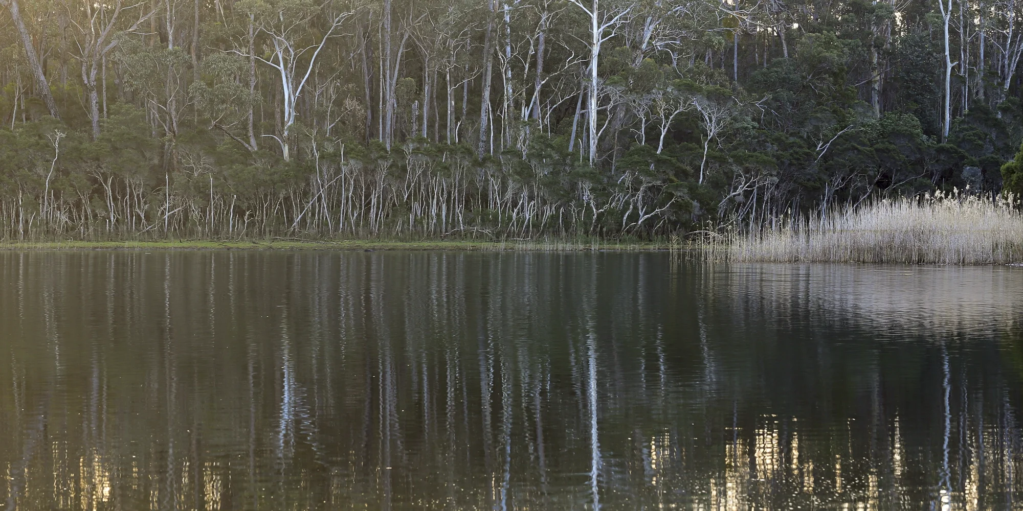 Still Waters