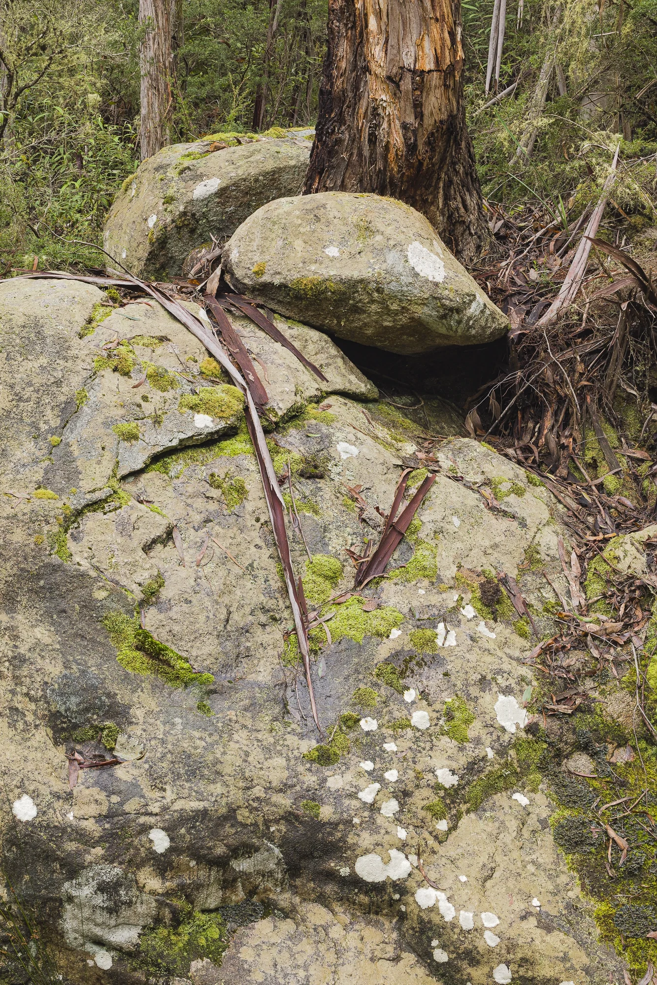 Ancient Ground
