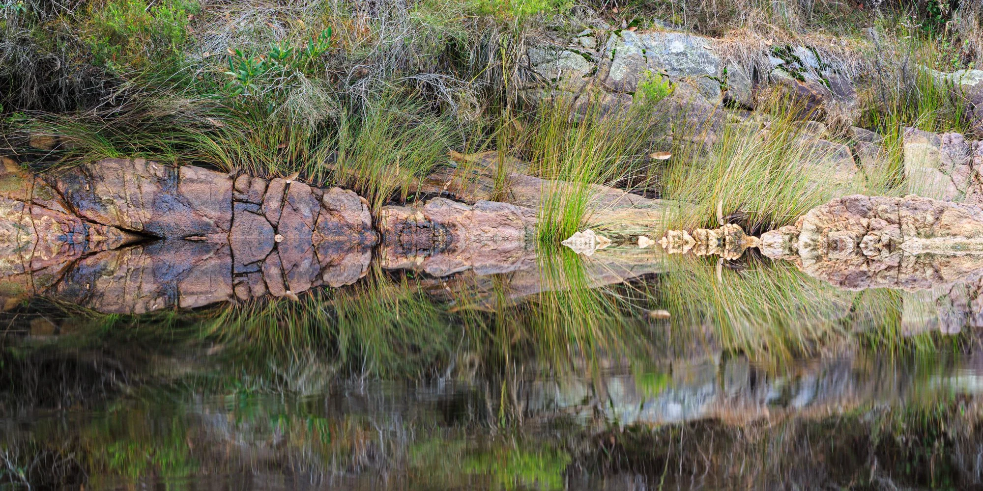 Dark, tannin-stained water mirrors ancient rock, sedges and coastal heathland at Yeerung.