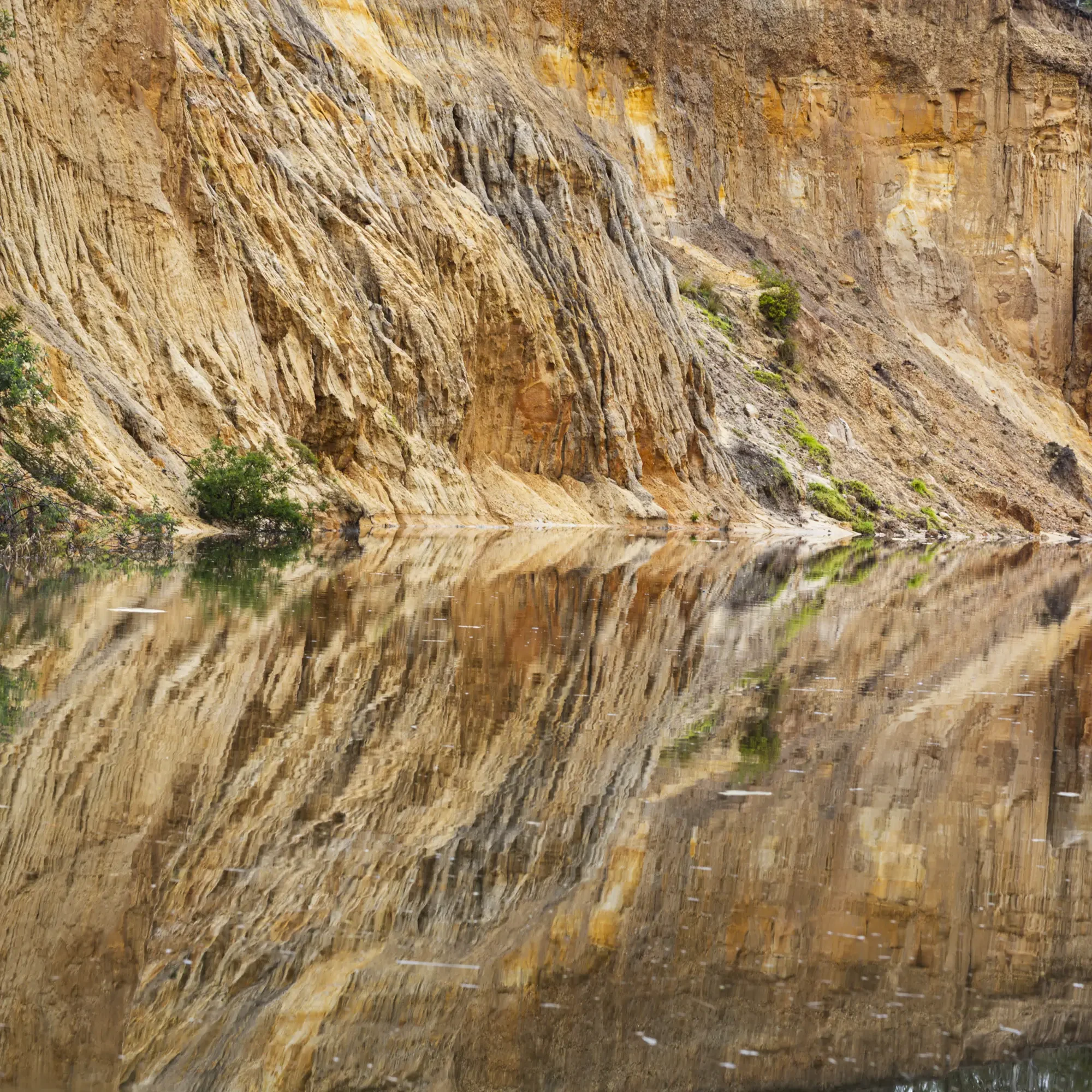 Earth Reflected
