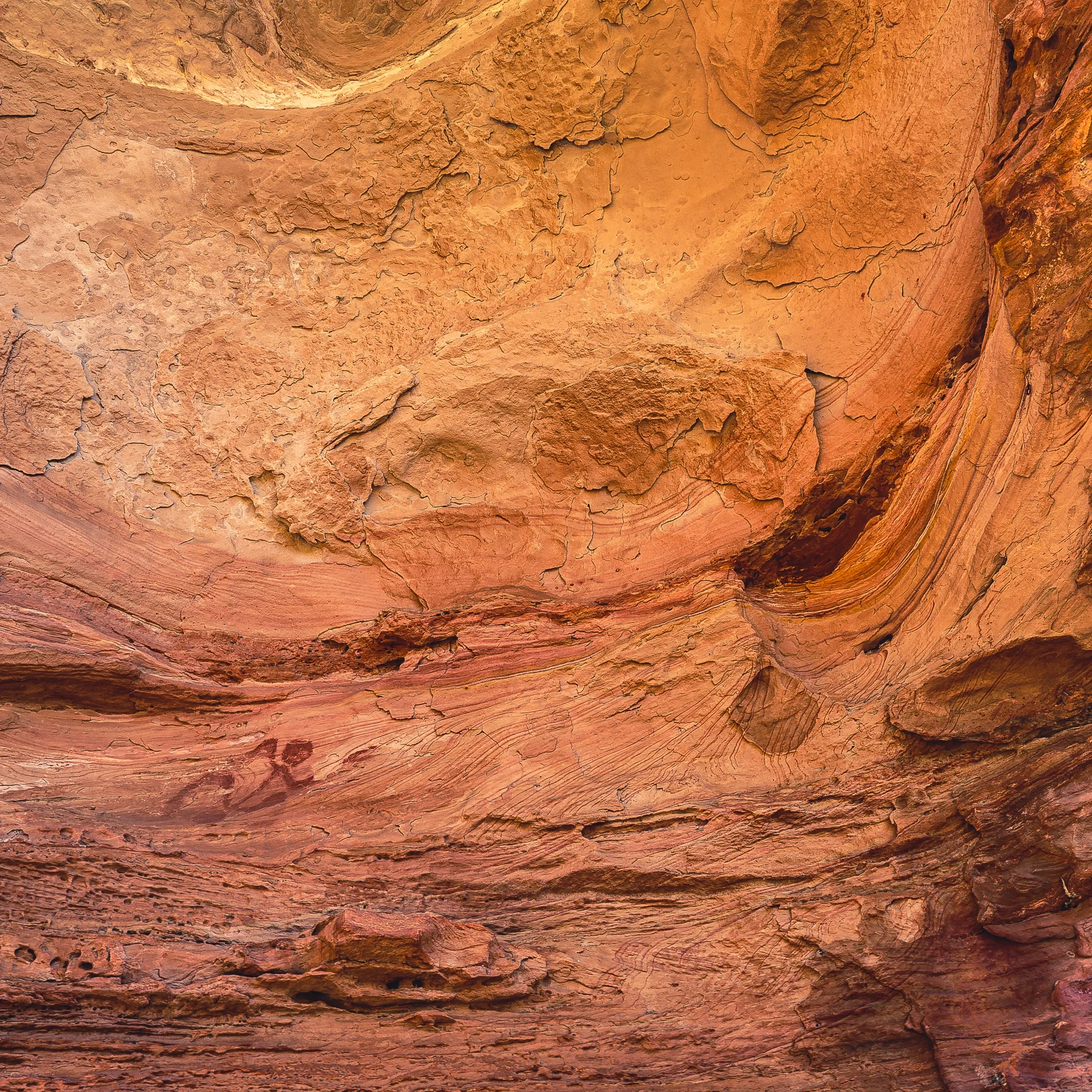 Sq_05.webp
