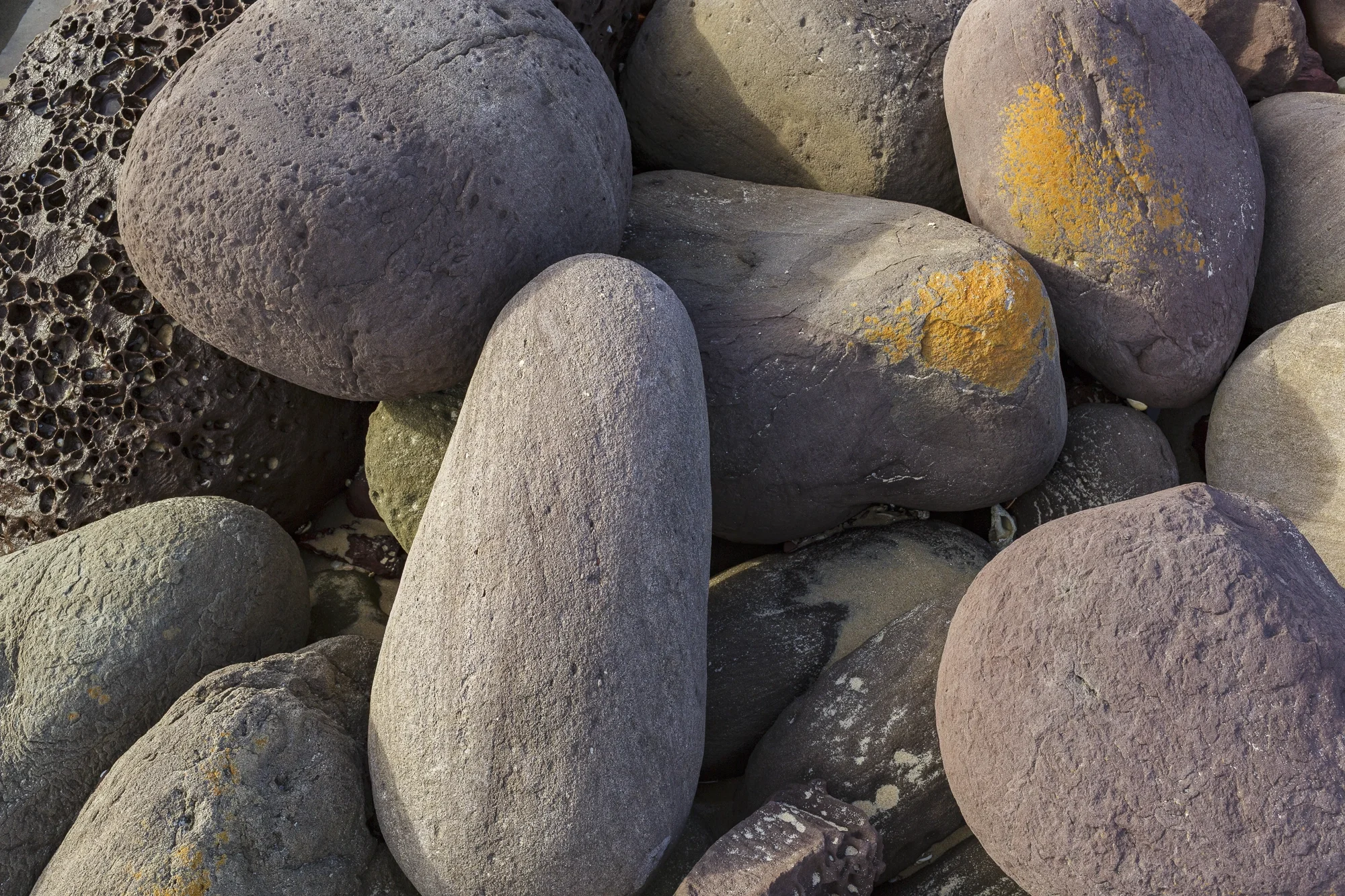 Rounded stones gather along the coast at Cape Conran, shaped and smoothed by the persistent movement of the sea.