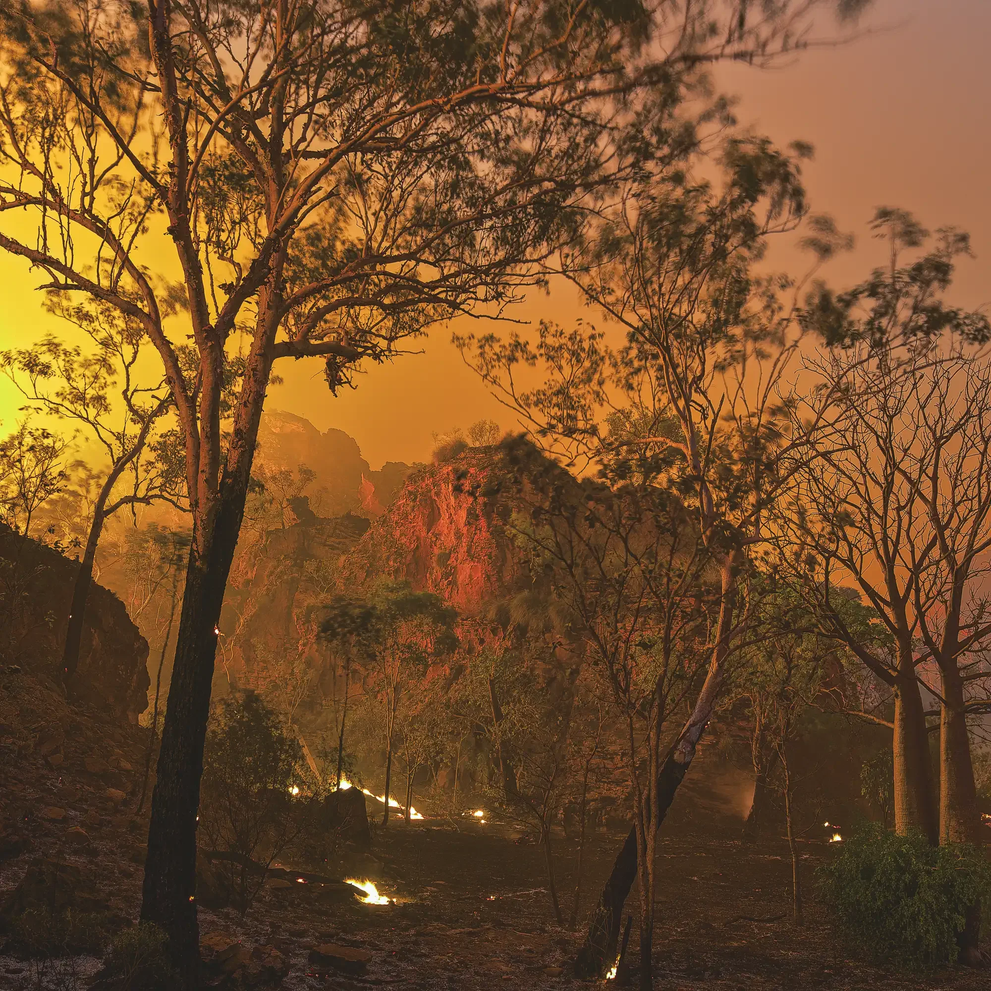 Into Fire