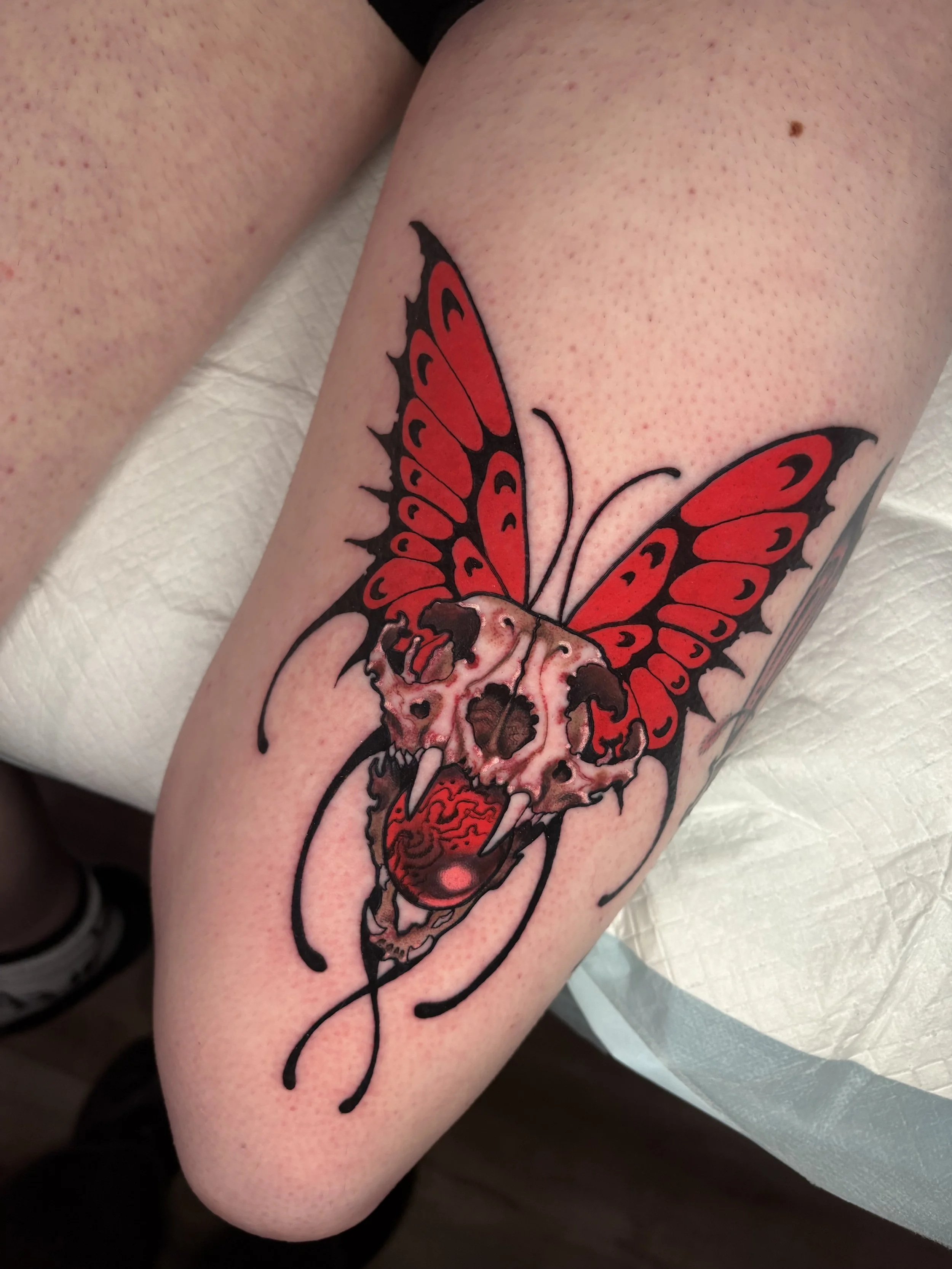 Tattoo of a red and black butterfly with a skull design on the lower part of the wing, located on a person's arm.