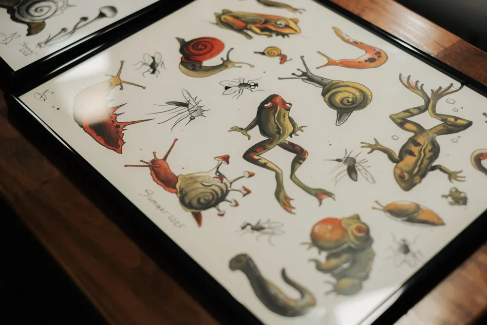 A collection of illustrated frogs, snails, insects, and other creatures displayed on a framed sheet of paper on a wooden surface.