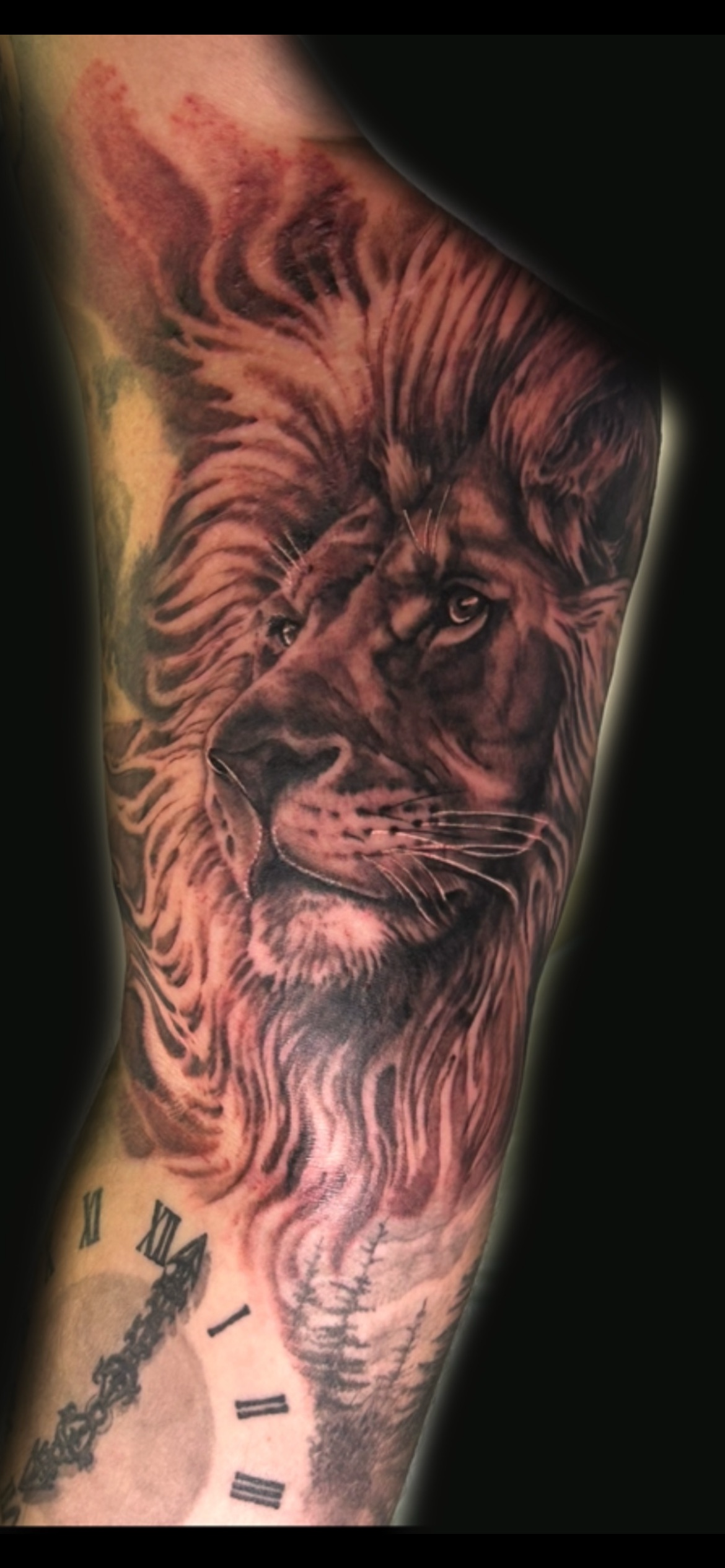Tattoo of a lion's face with detailed mane on an arm, partially visible clock with Roman numerals at the bottom, and a chain detail.