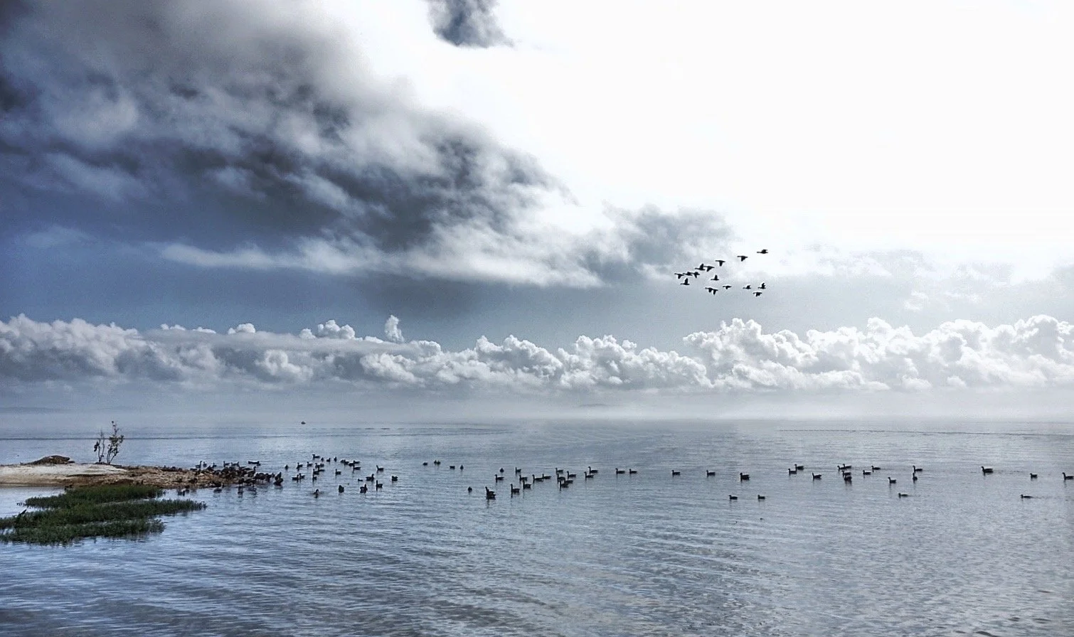 Seabirds beneath dramatic clouds over calm coastal water