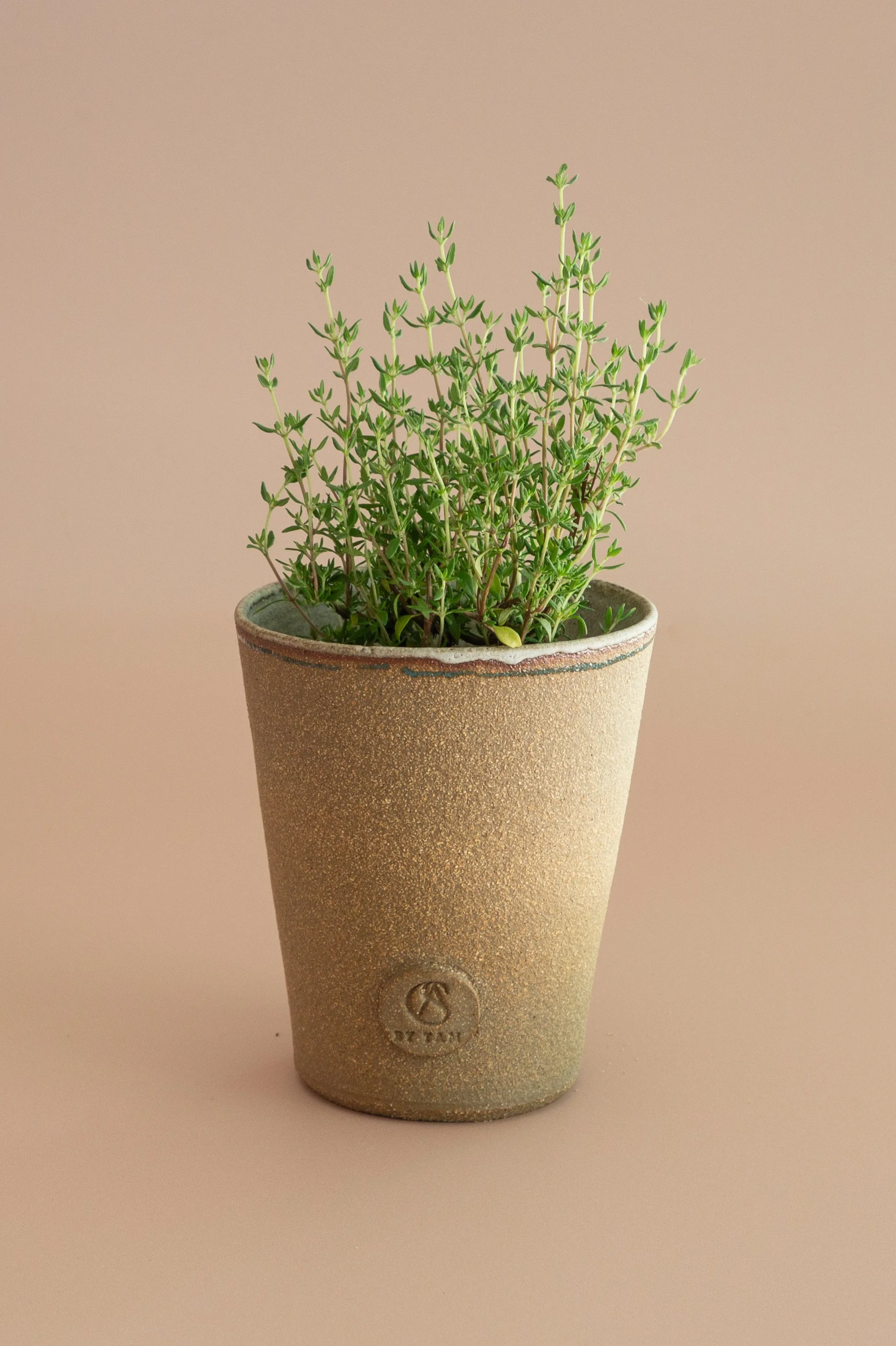Plant Pot - Large