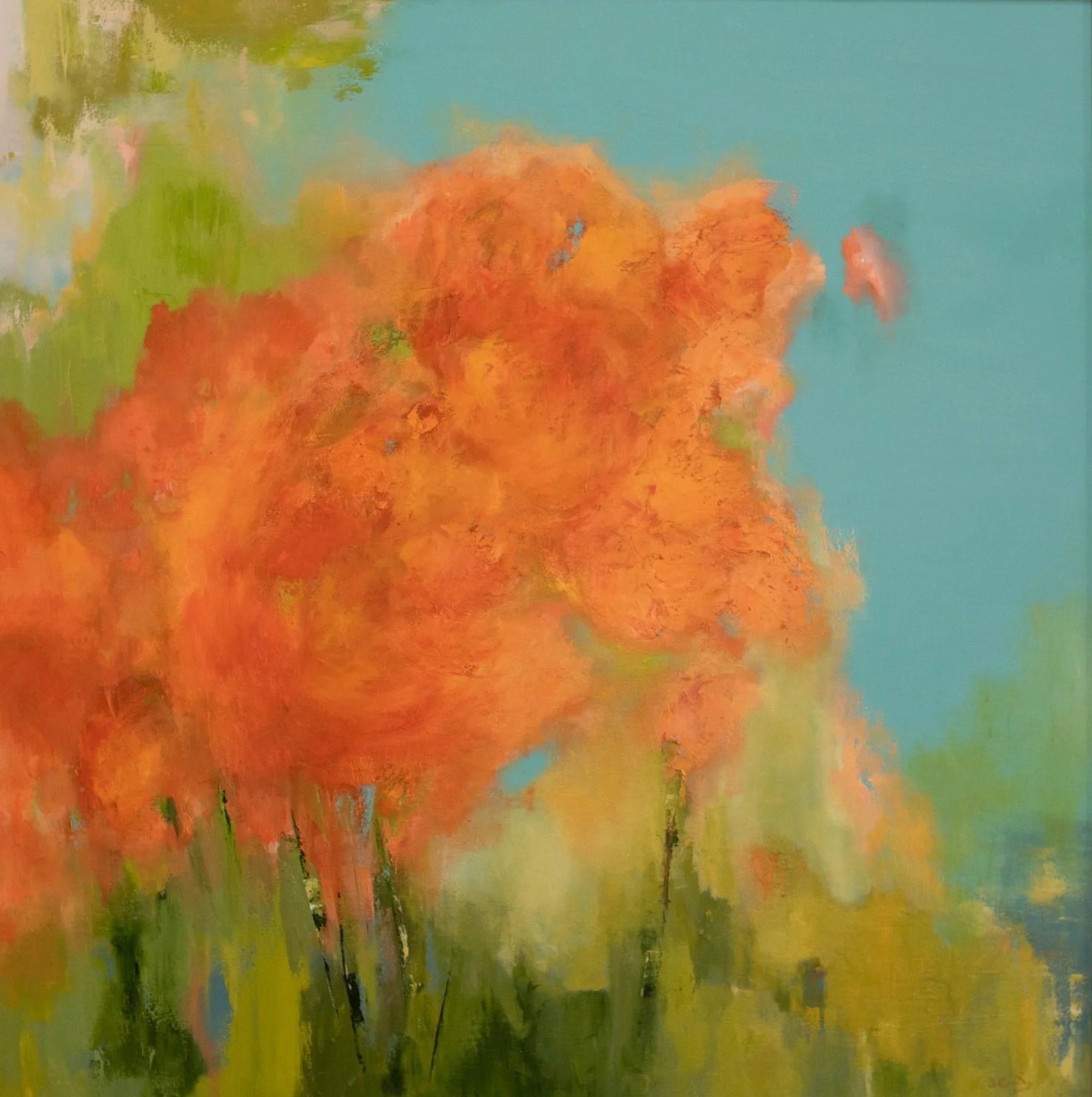Poppies I