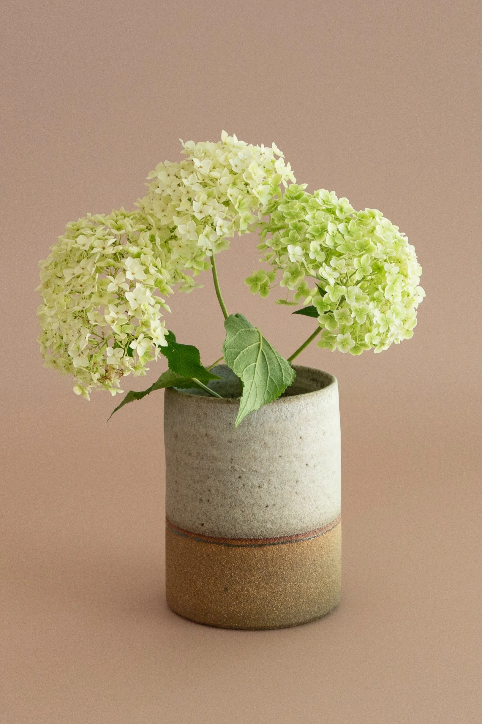 TAMPottery(Web)(29of133)9917.jpg