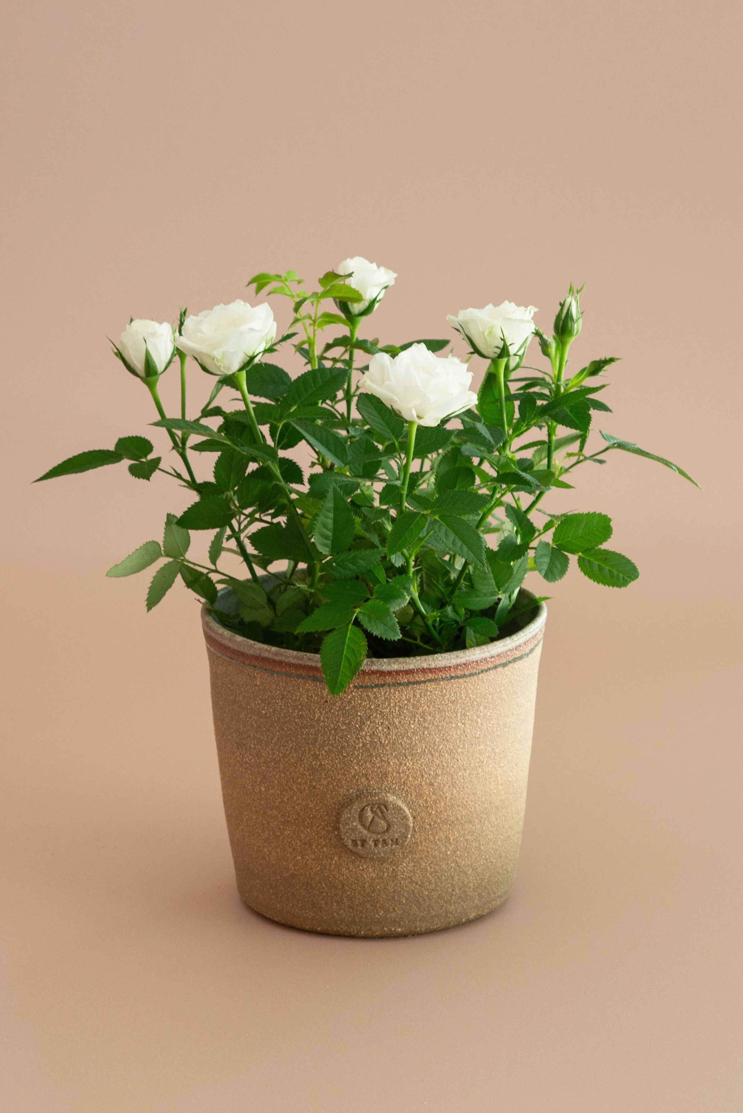 TAMPottery(Web)(35of133)9924.jpg