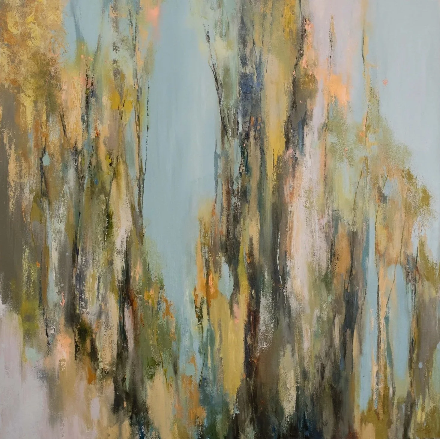 Silver Birch