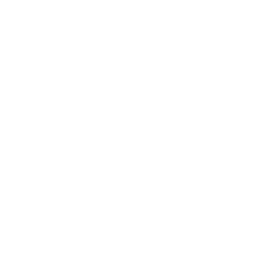 Technical-x2.png