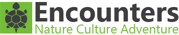 Encounters